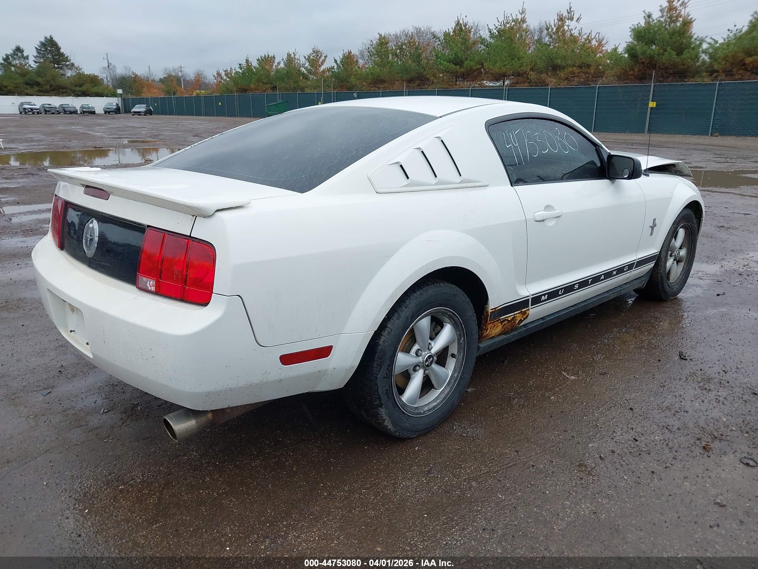FORD MUSTANG image 4