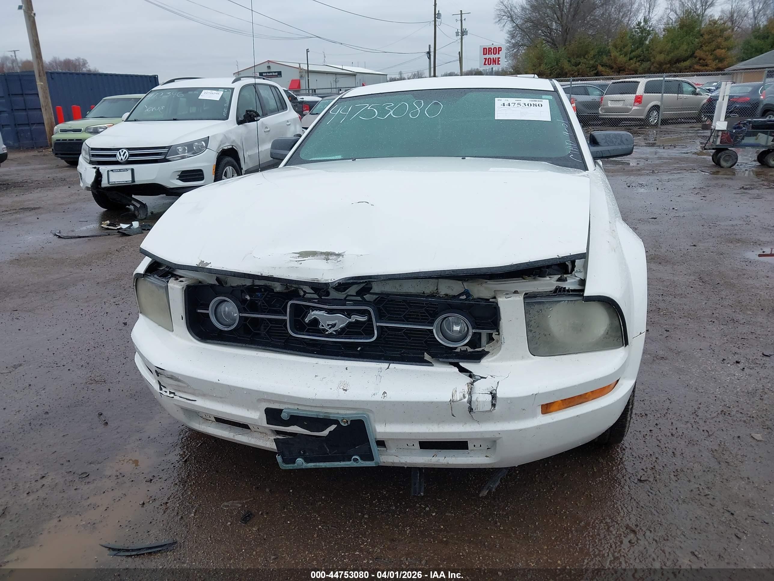 FORD MUSTANG image 6
