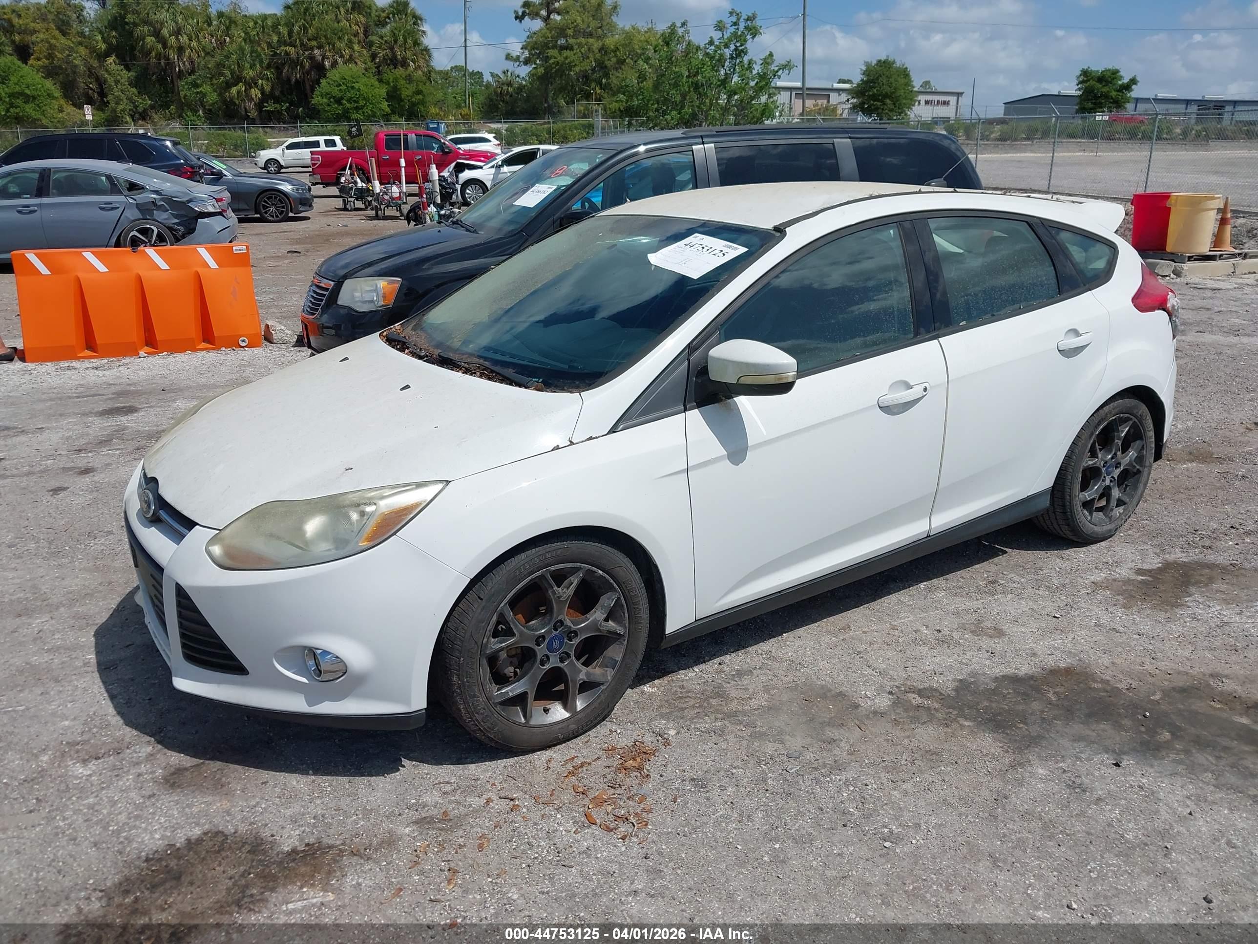 FORD FOCUS image 2