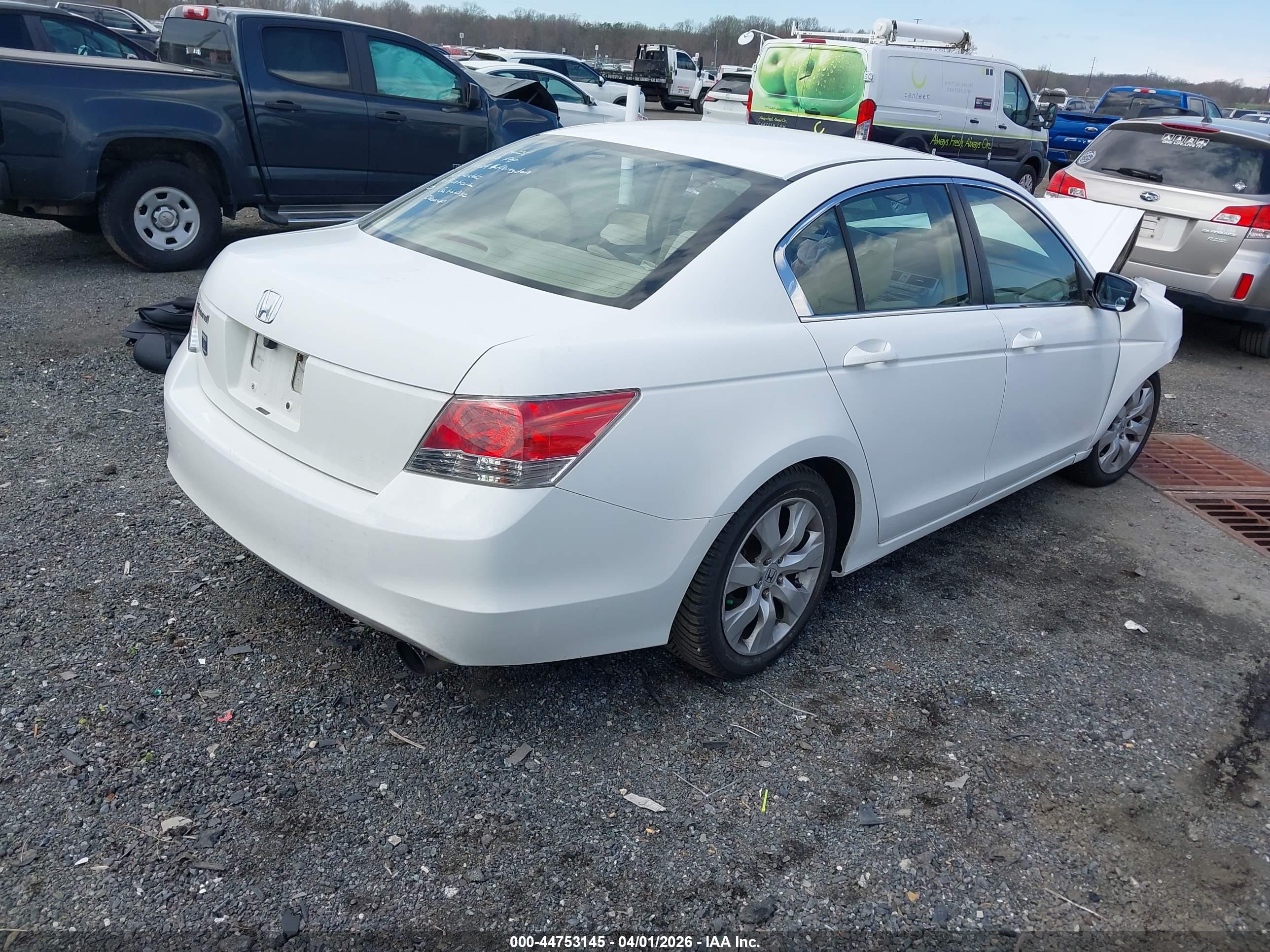 HONDA ACCORD image 4