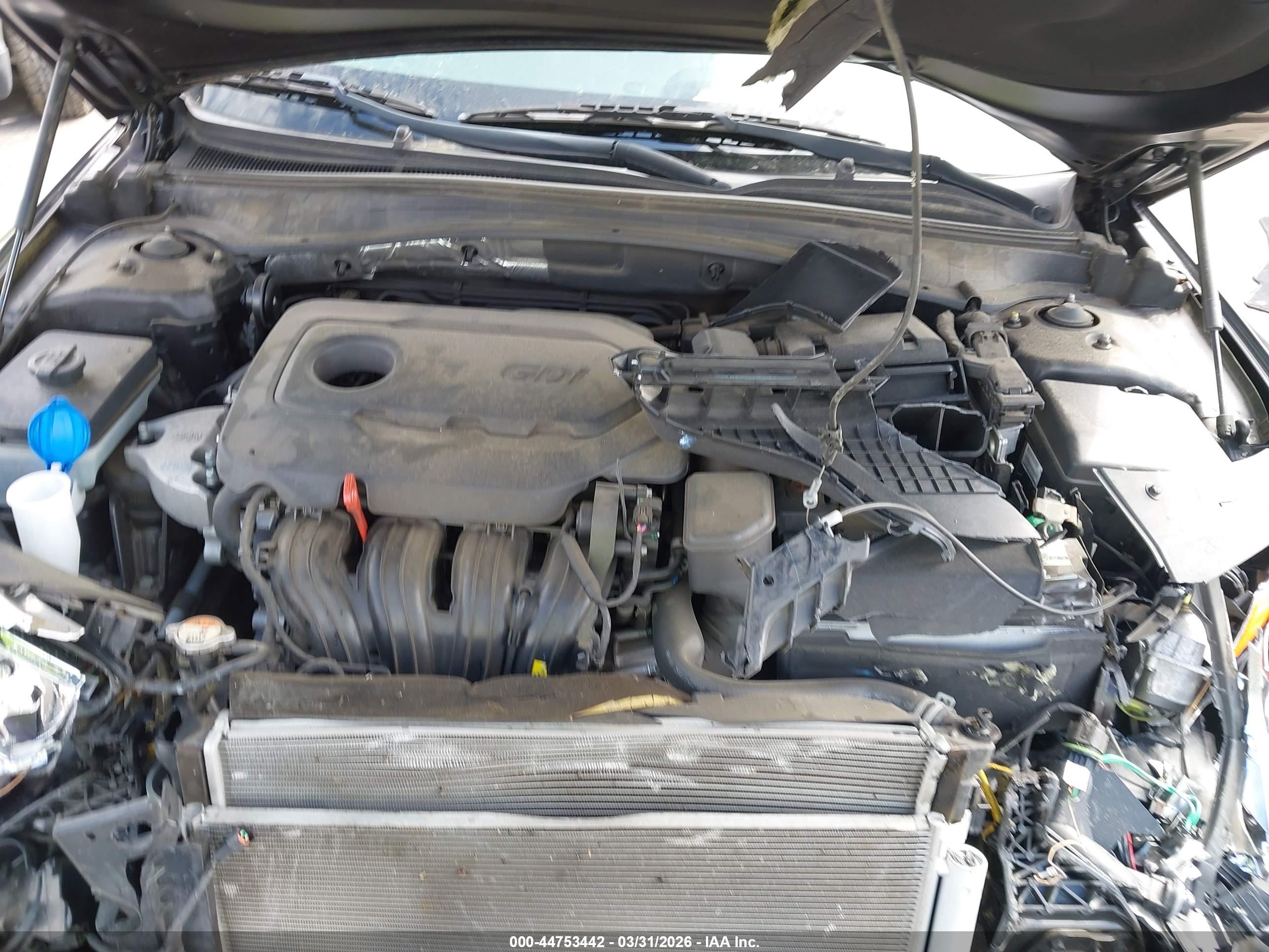 KIA OPTIMA image 10