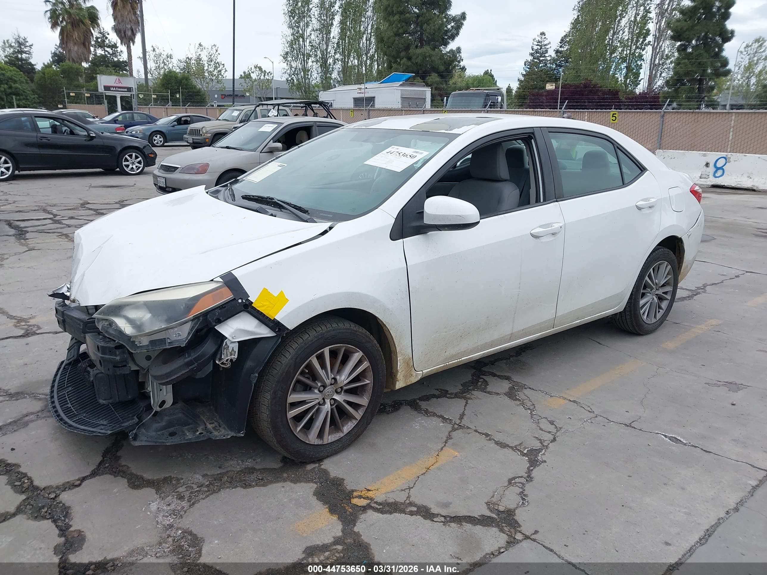 TOYOTA COROLLA image 2