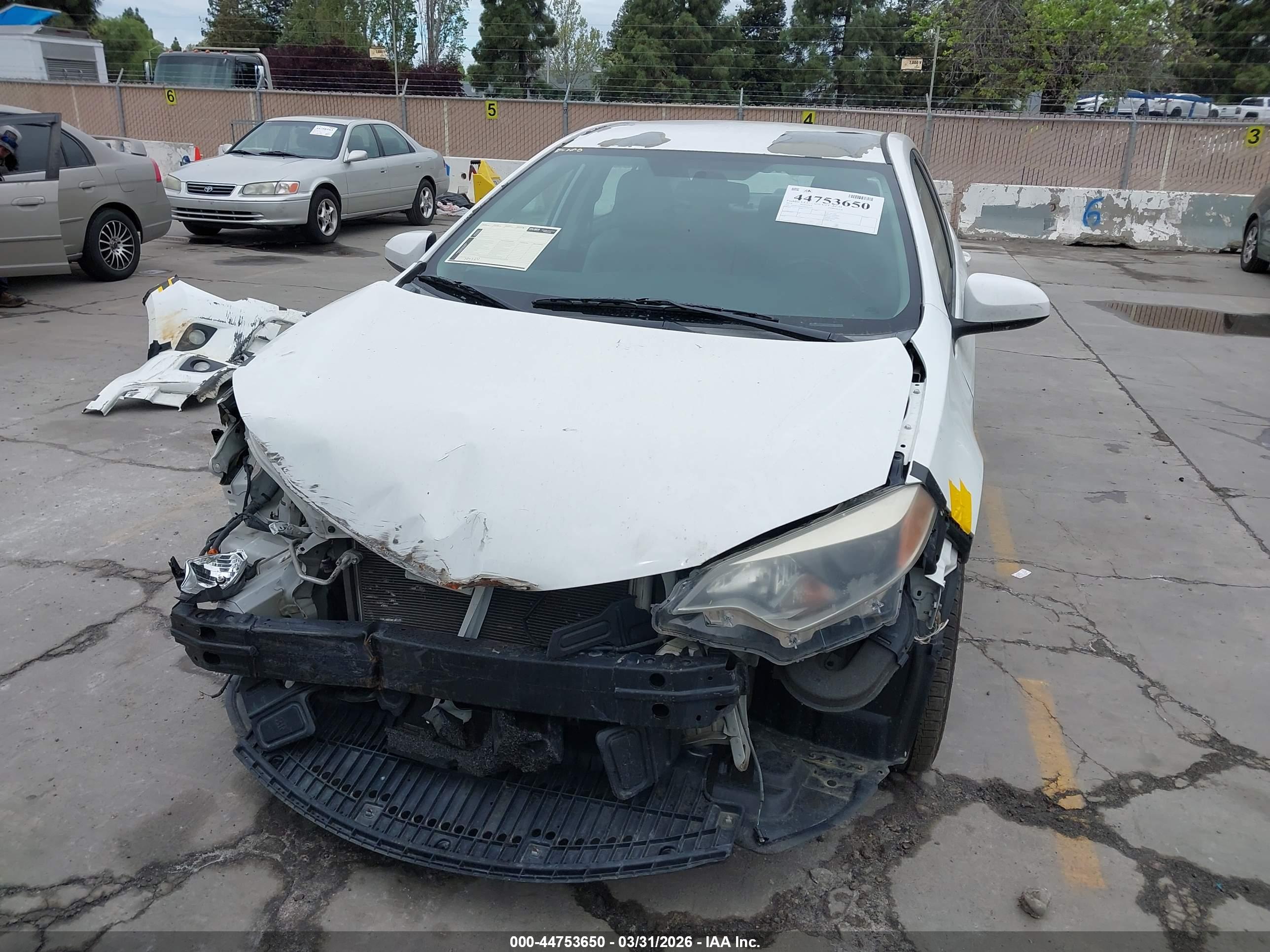 TOYOTA COROLLA image 6