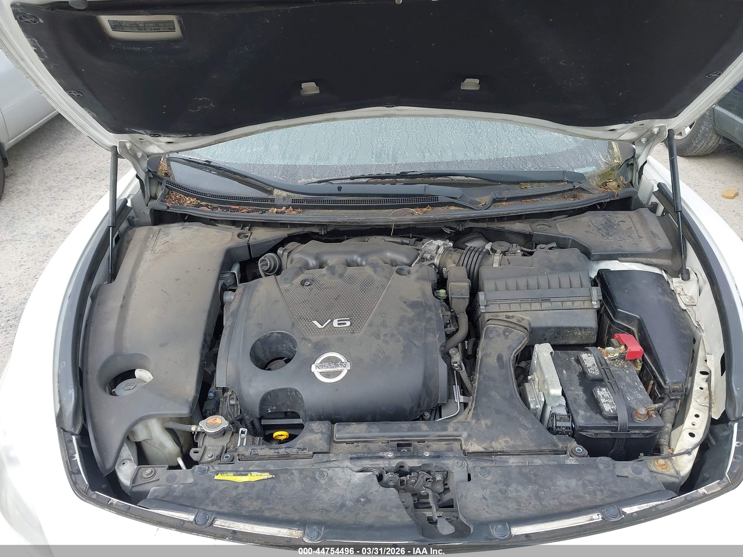 NISSAN MAXIMA image 10