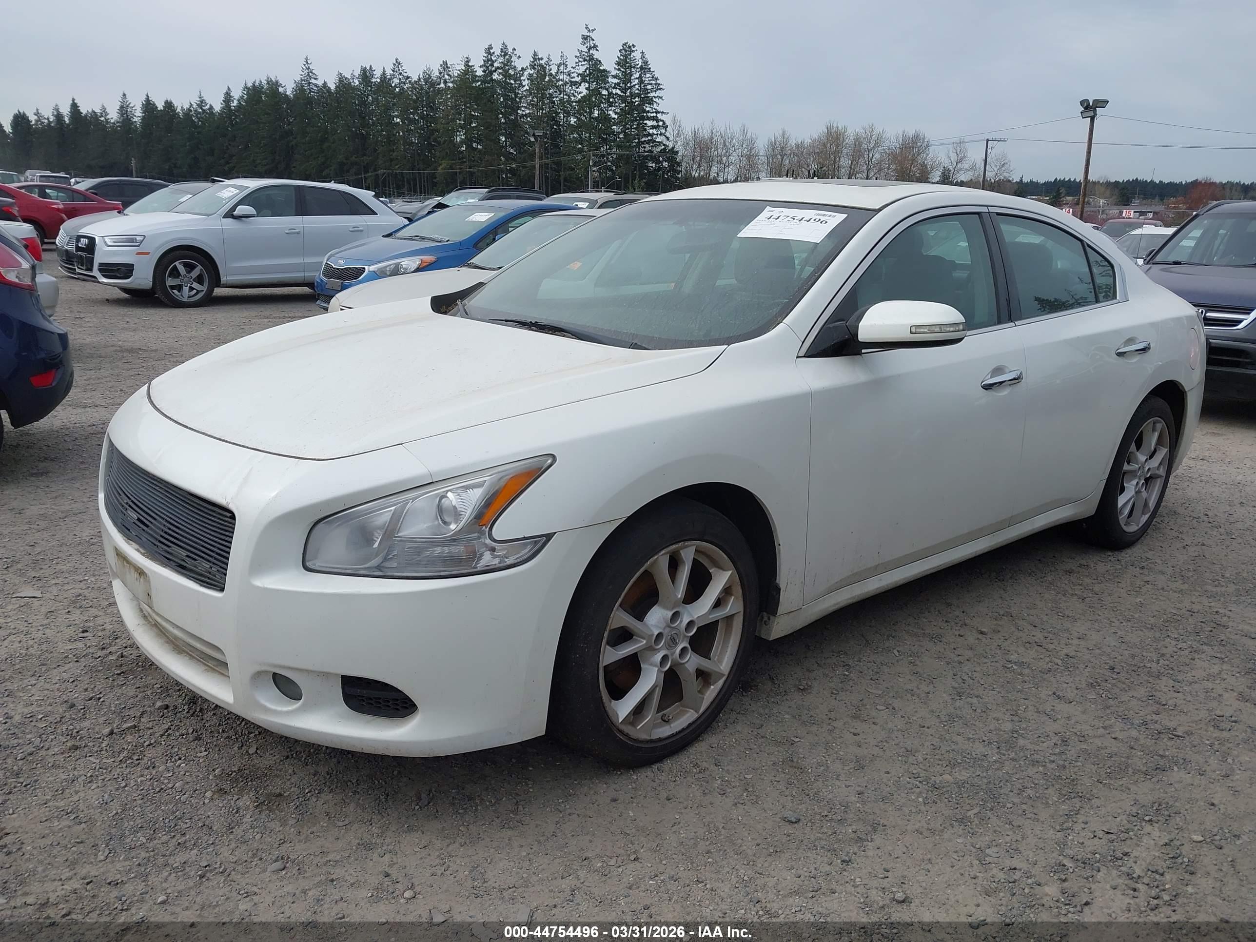 NISSAN MAXIMA image 2