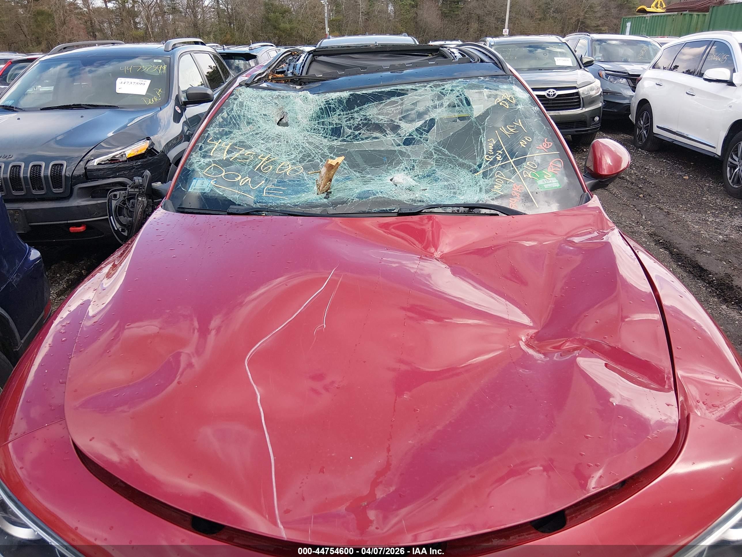 ALFA ROMEO image 6