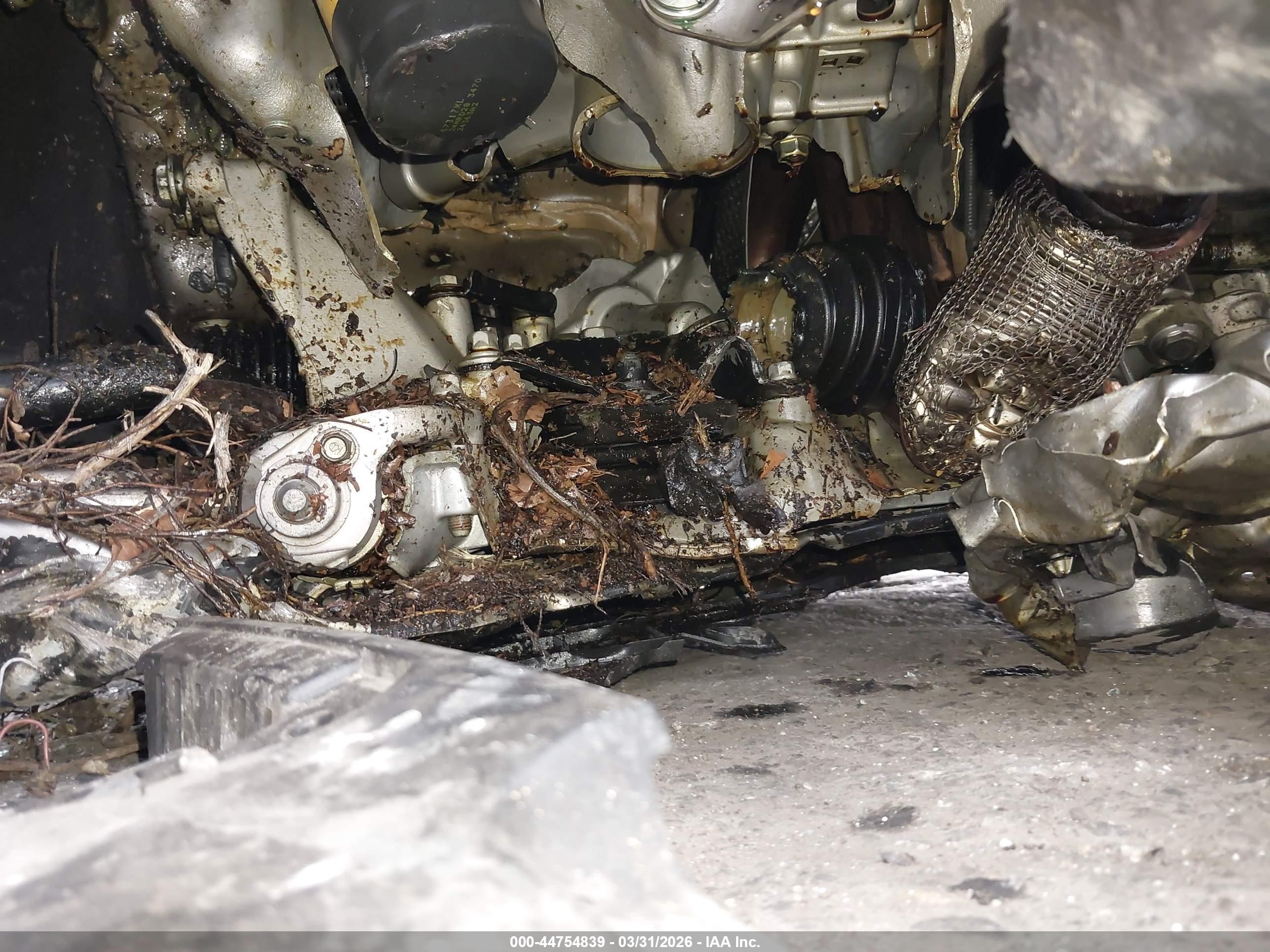 HONDA ACCORD image 6