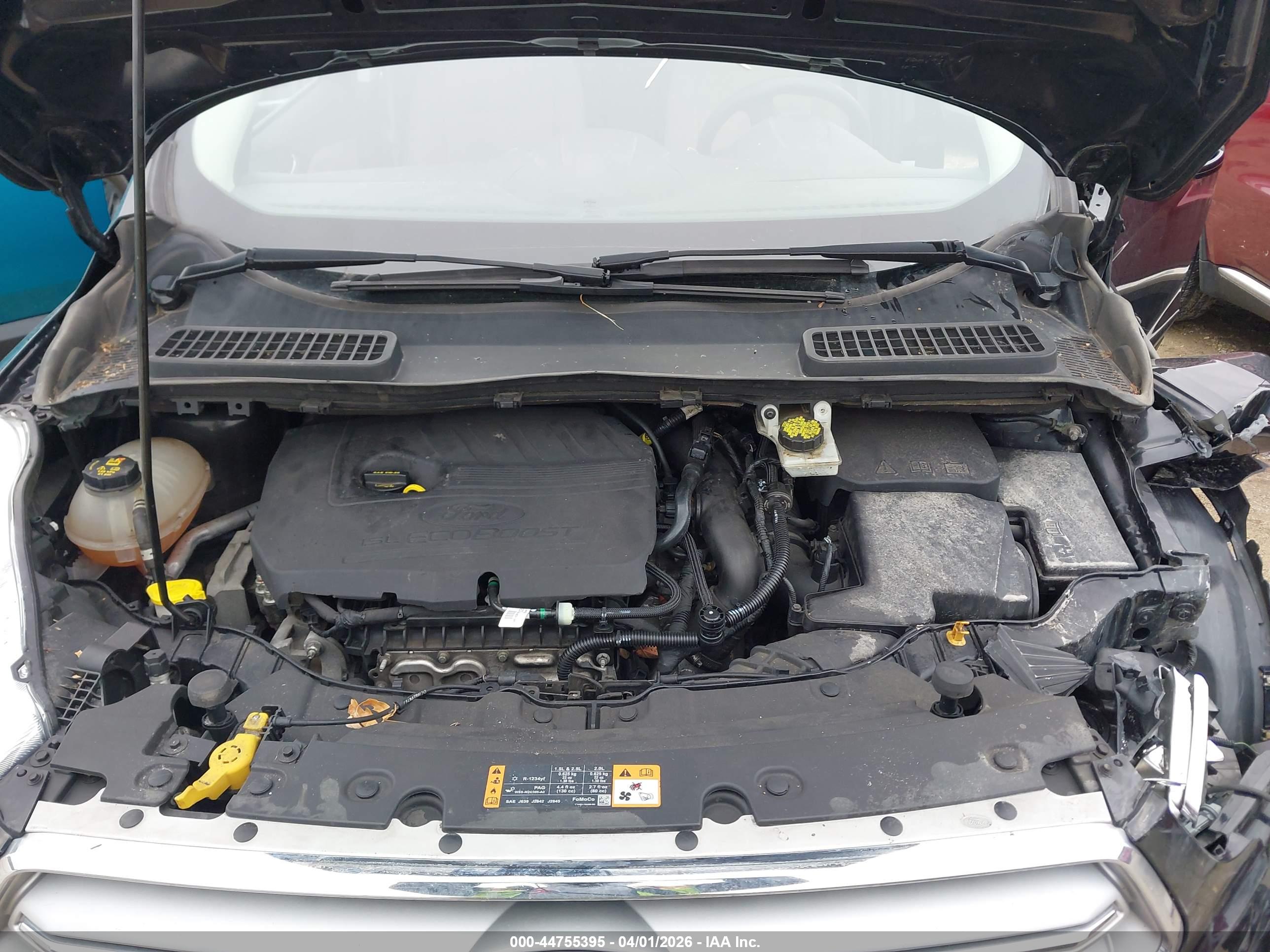 FORD ESCAPE image 10