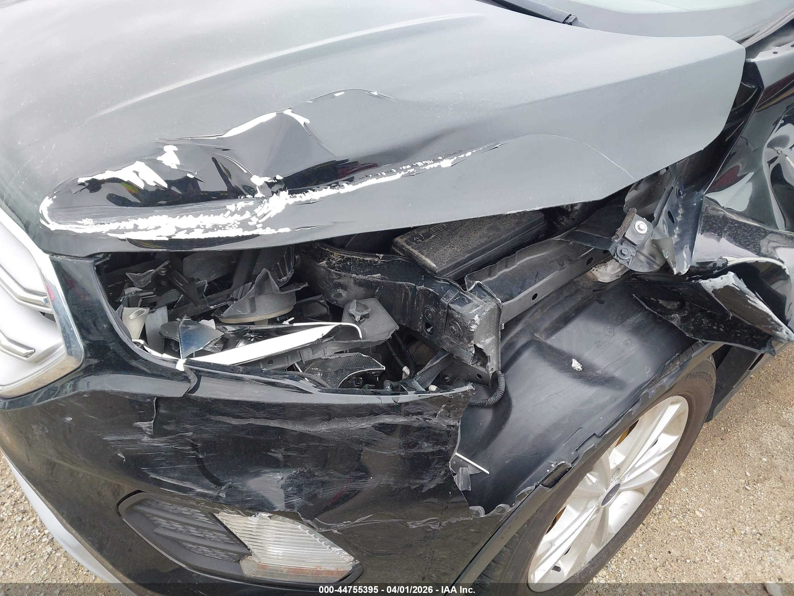 FORD ESCAPE image 6
