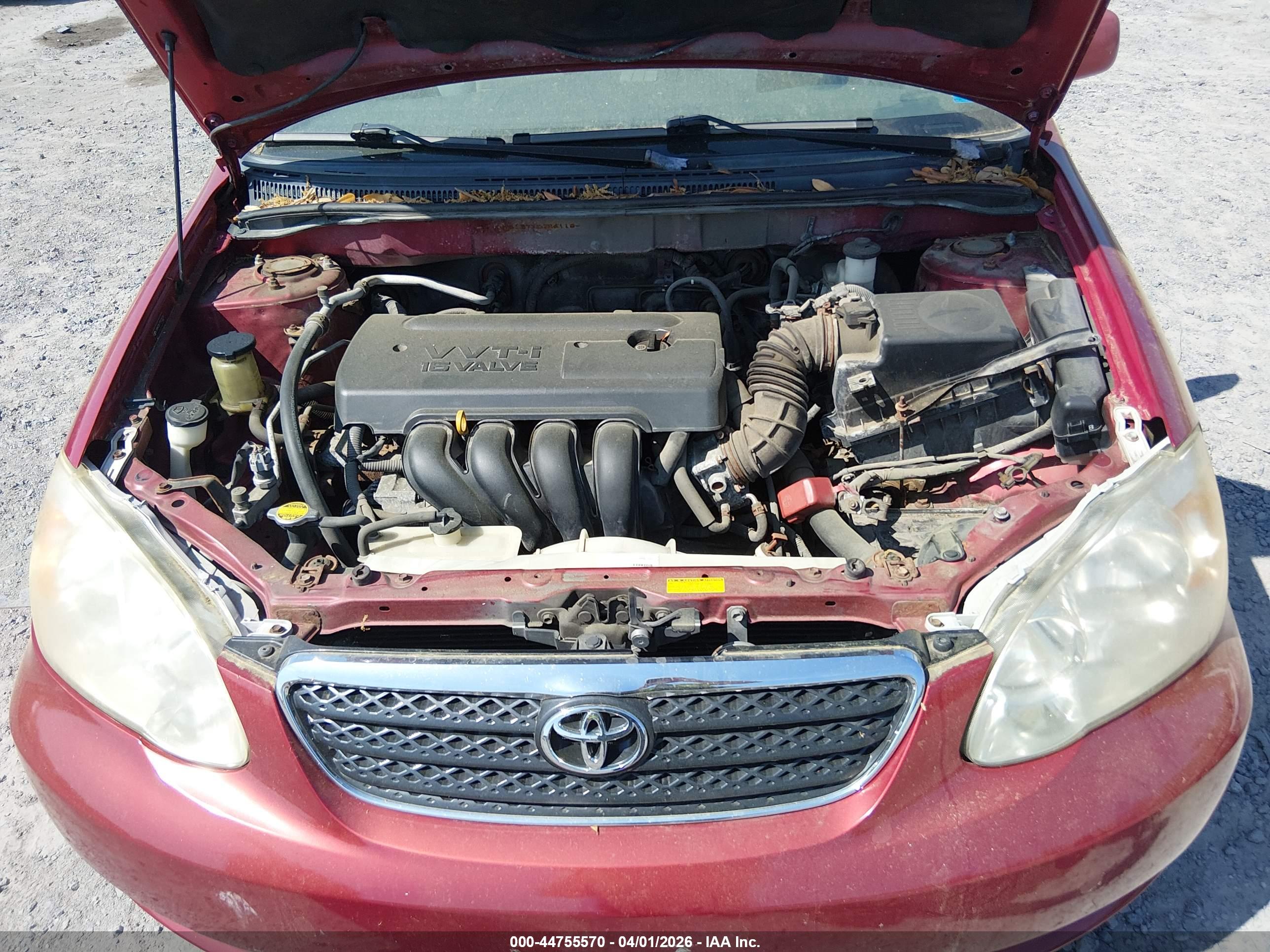 TOYOTA COROLLA image 10
