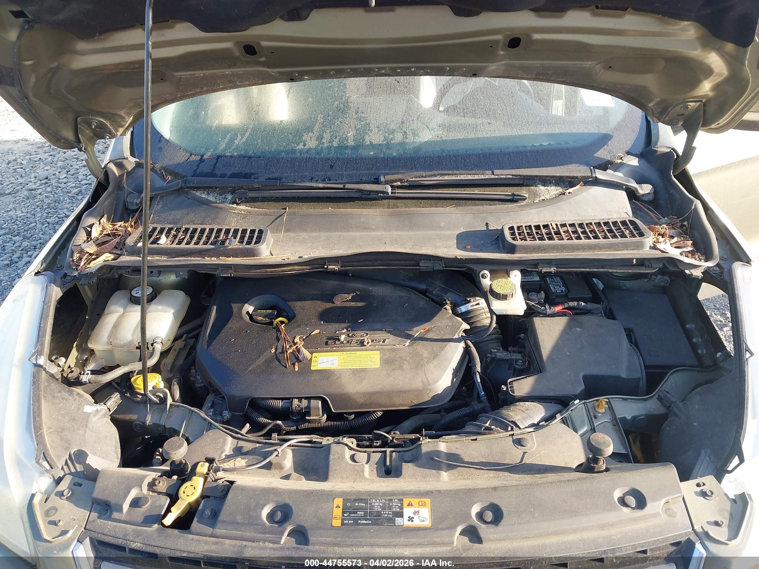 FORD ESCAPE image 10