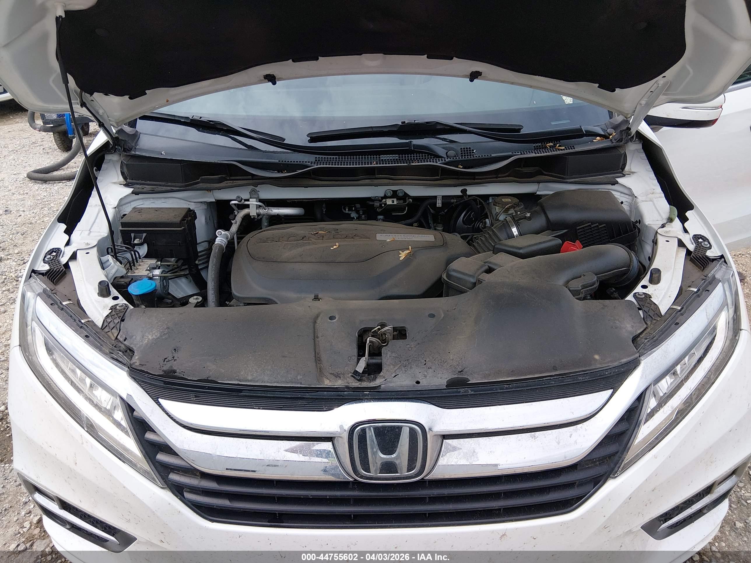 HONDA ODYSSEY image 10