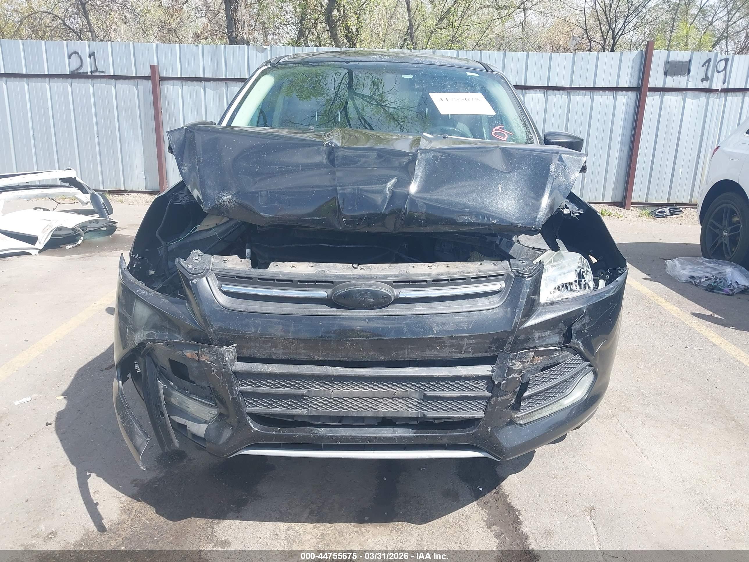 FORD ESCAPE image 6