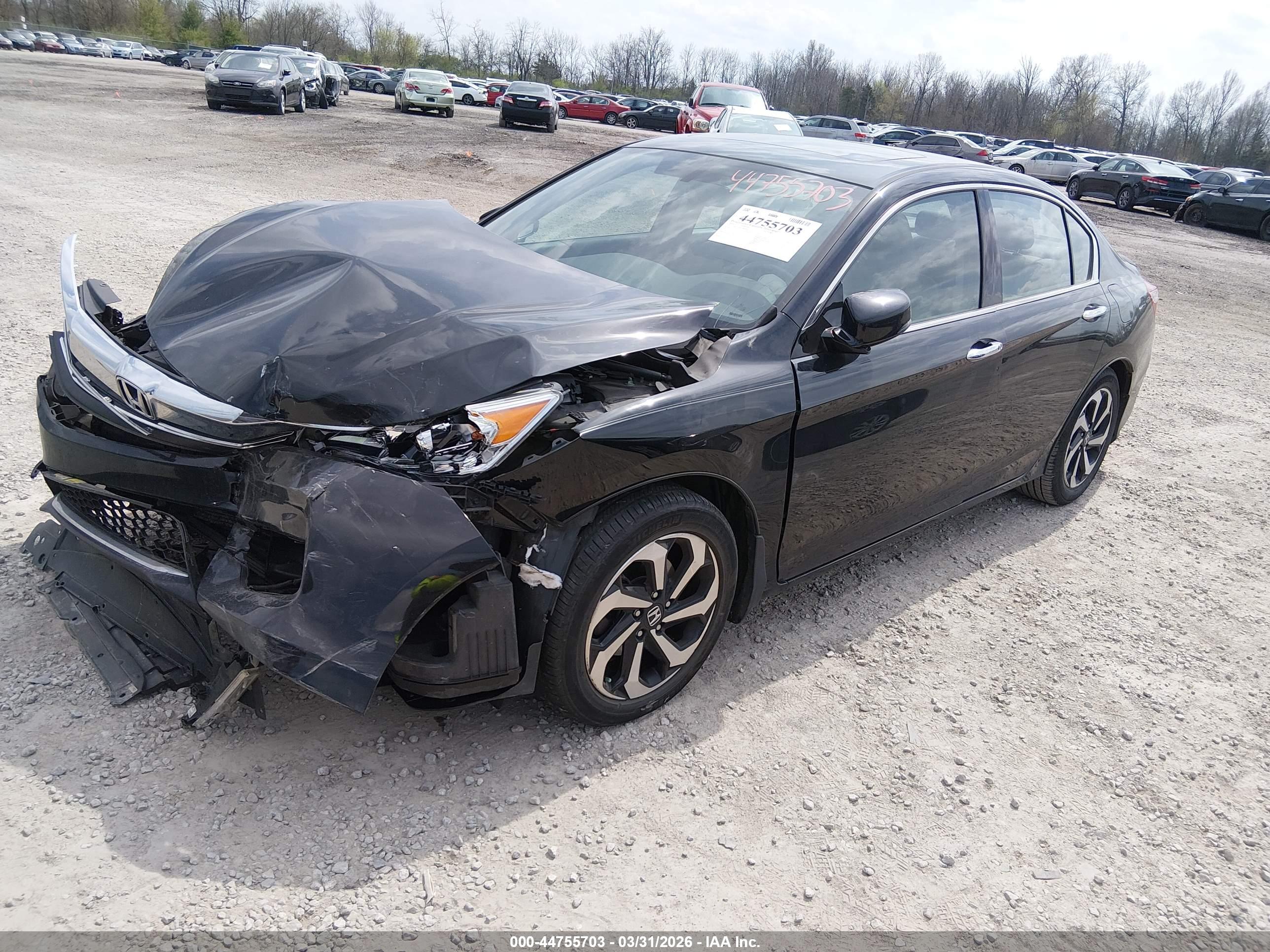 HONDA ACCORD image 2