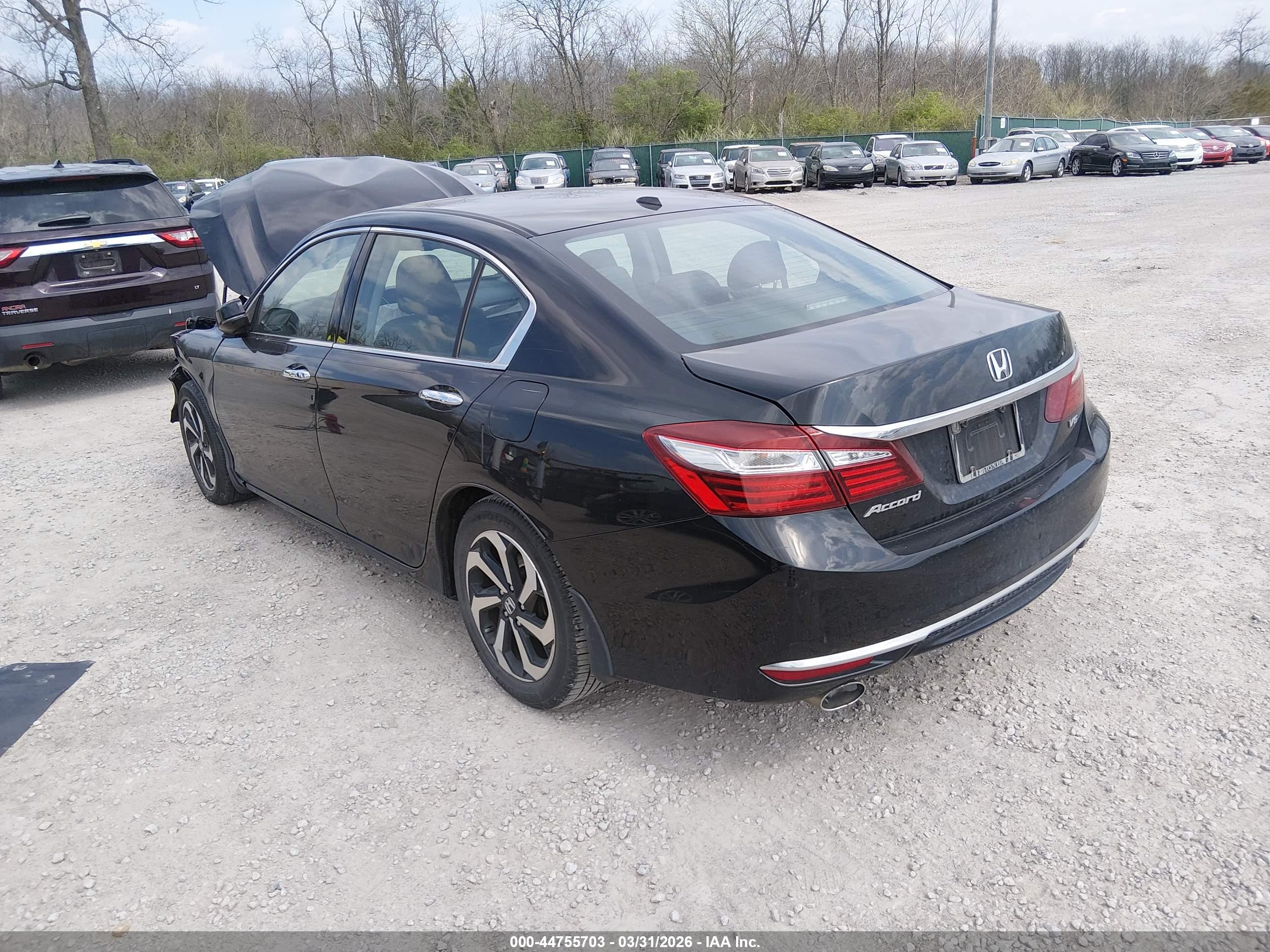 HONDA ACCORD image 3