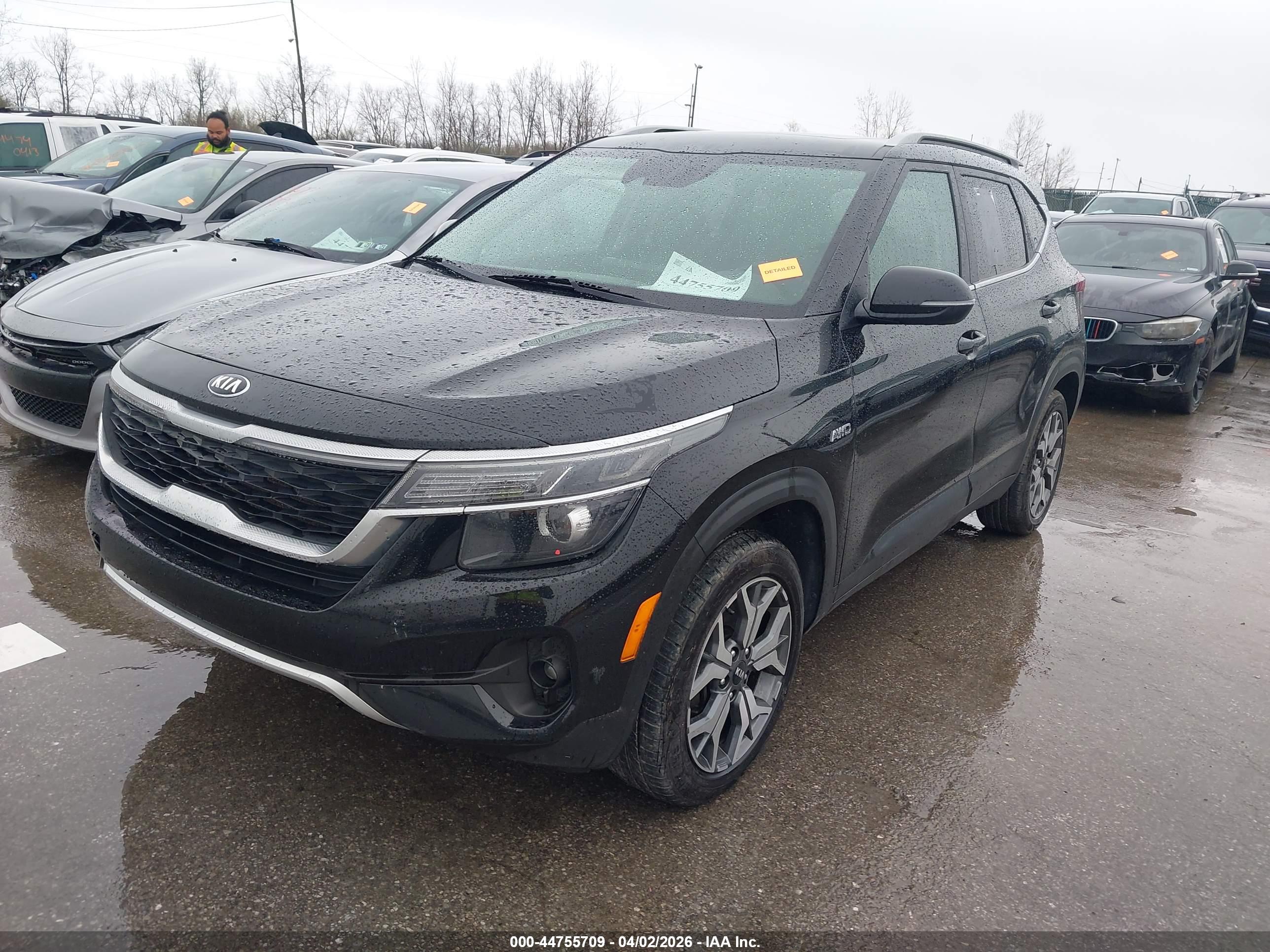 KIA SELTOS image 2