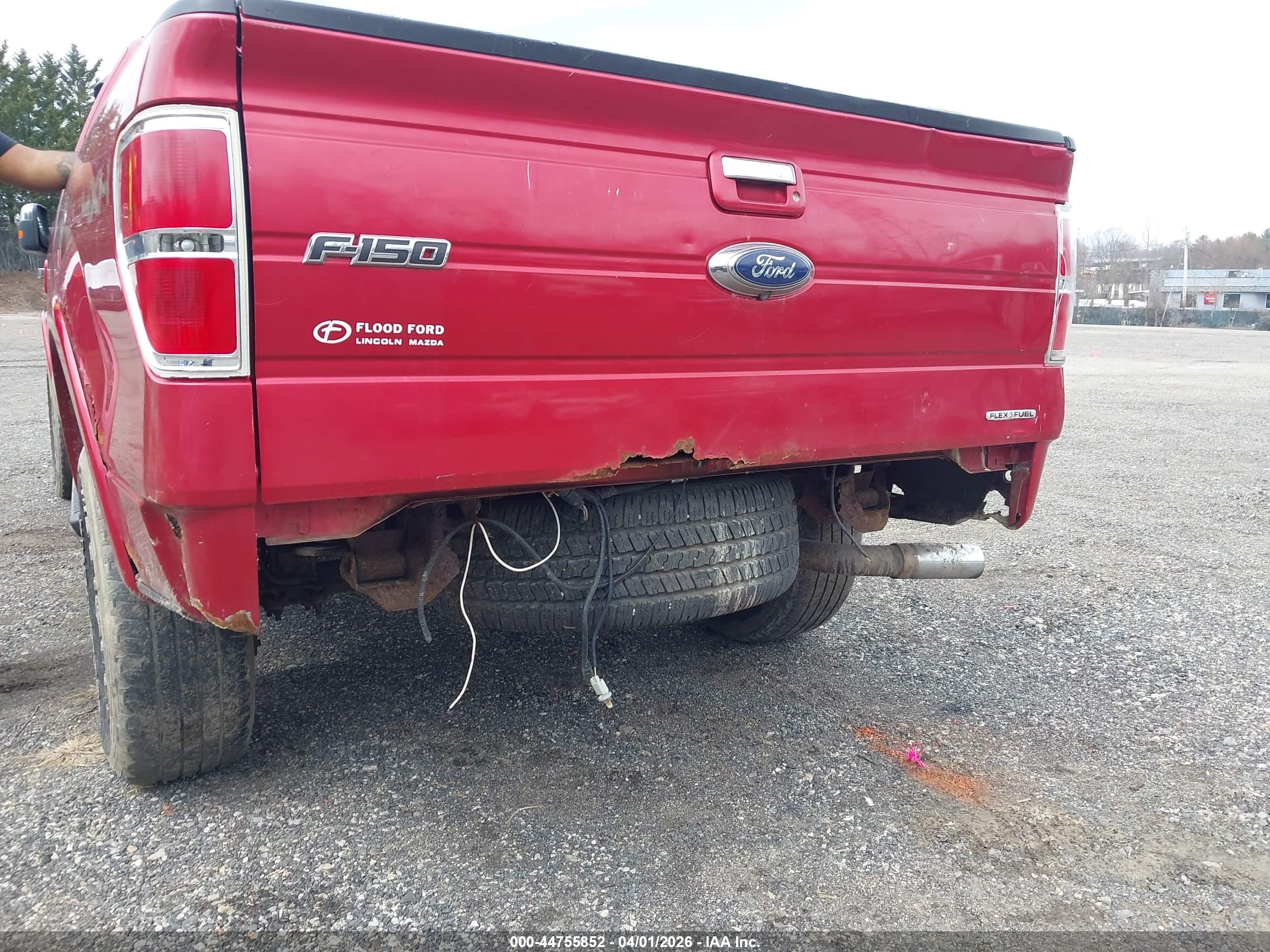 FORD F-150 image 6