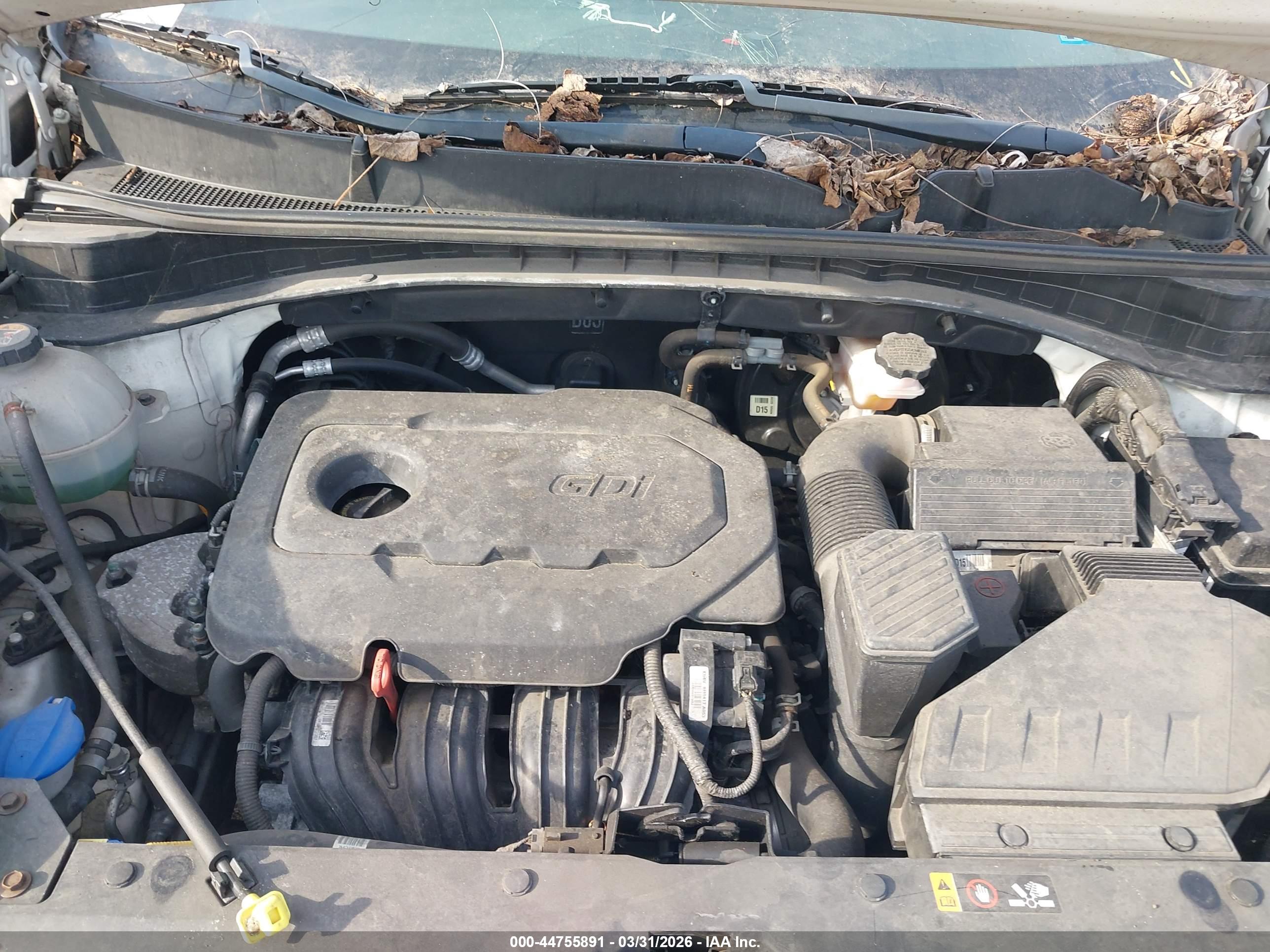 KIA SPORTAGE image 10