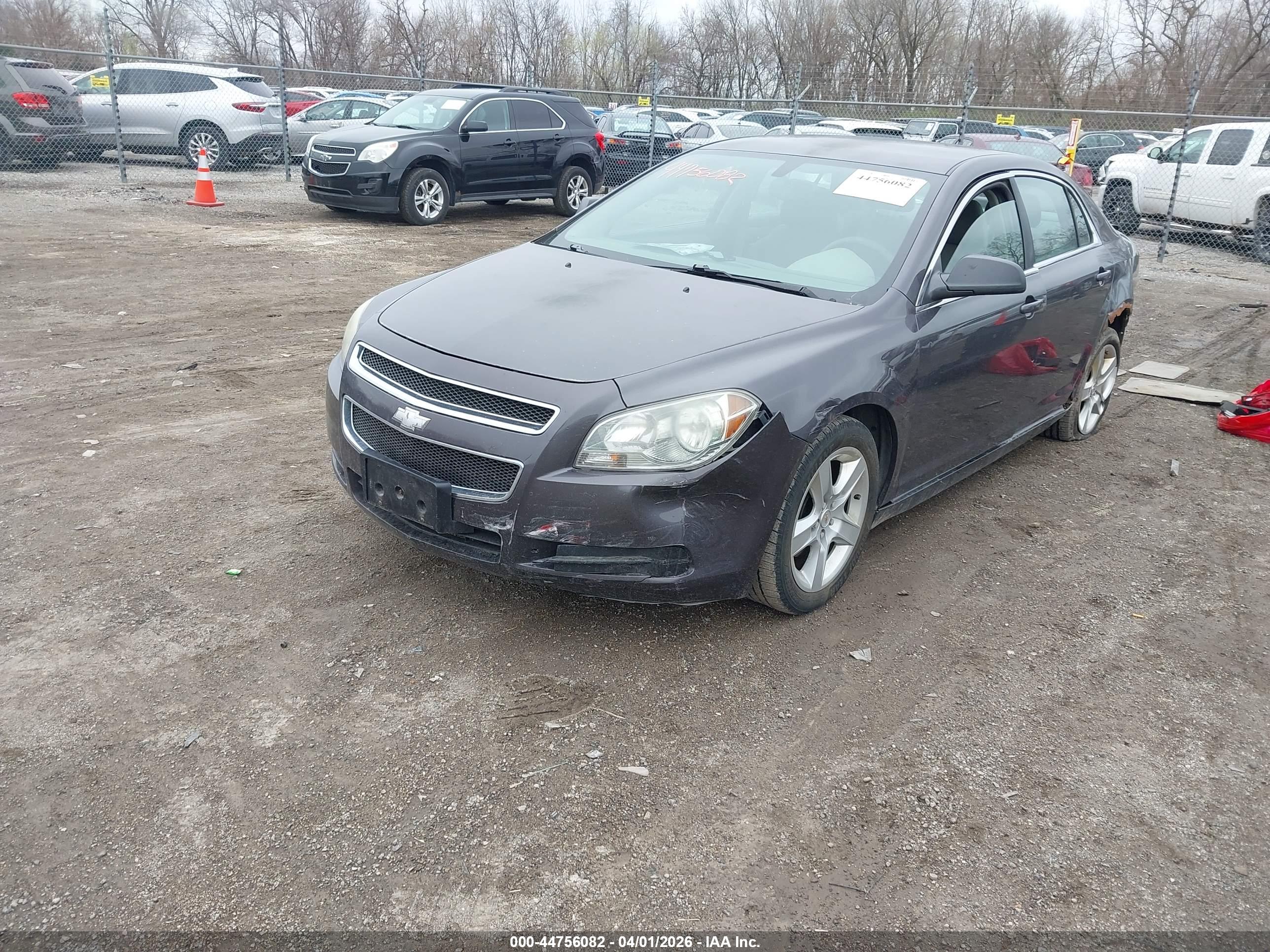 CHEVROLET MALIBU image 2