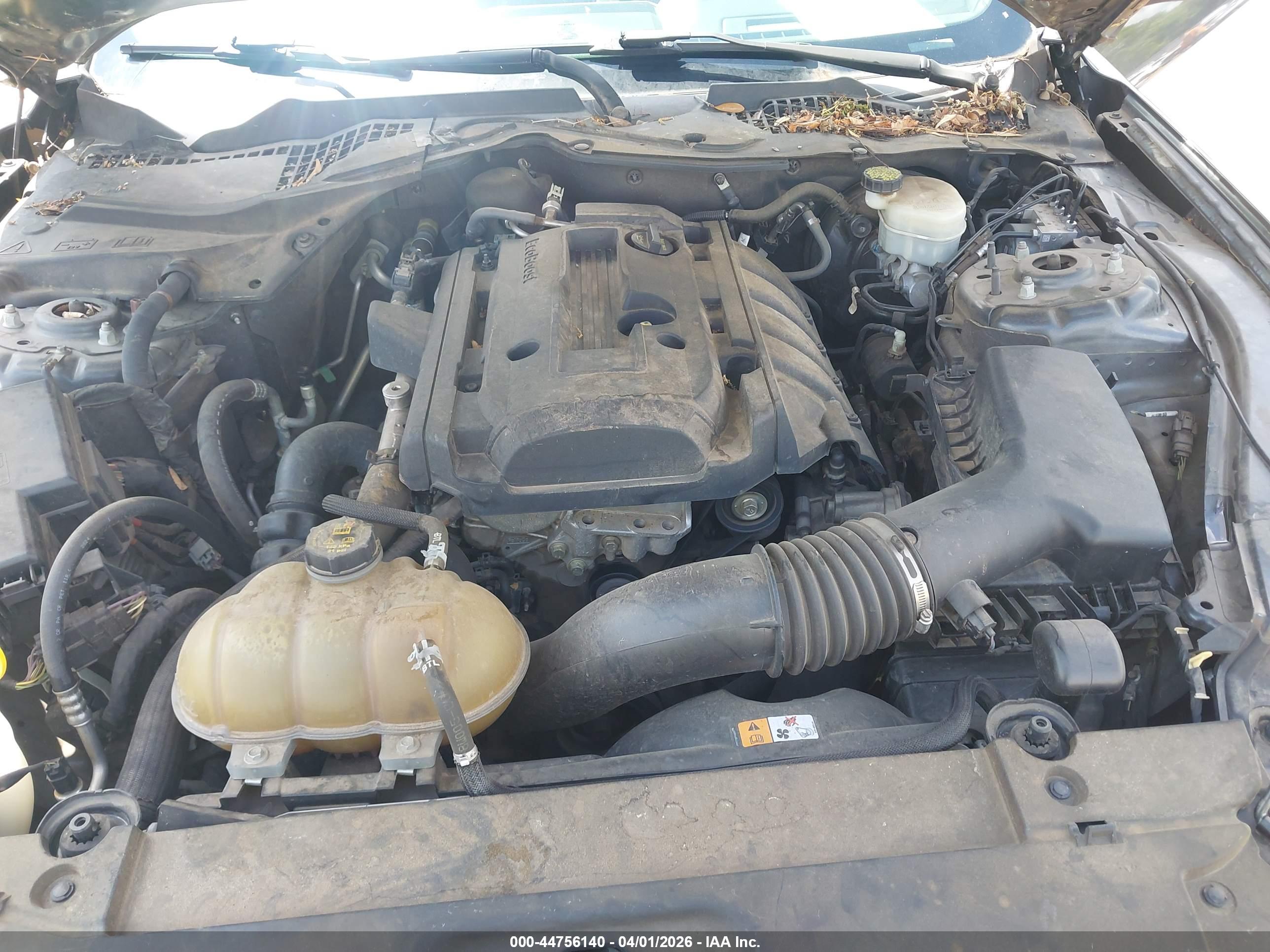 FORD MUSTANG image 10
