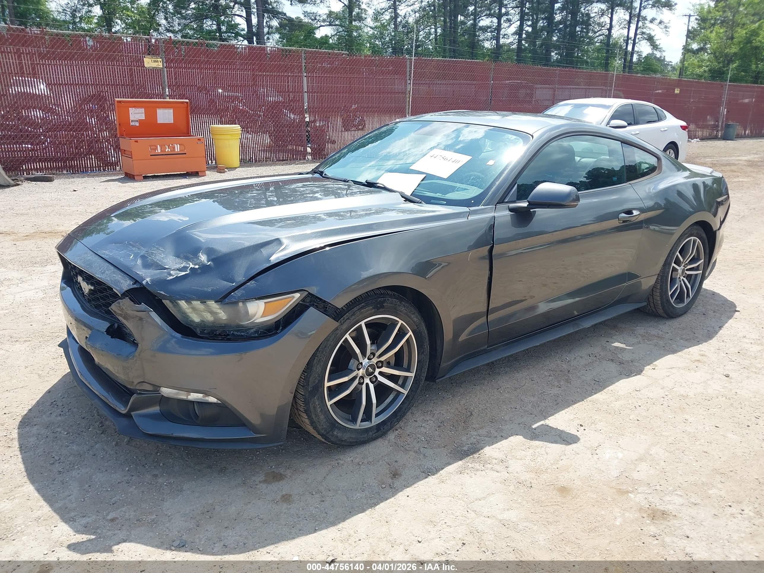 FORD MUSTANG image 2