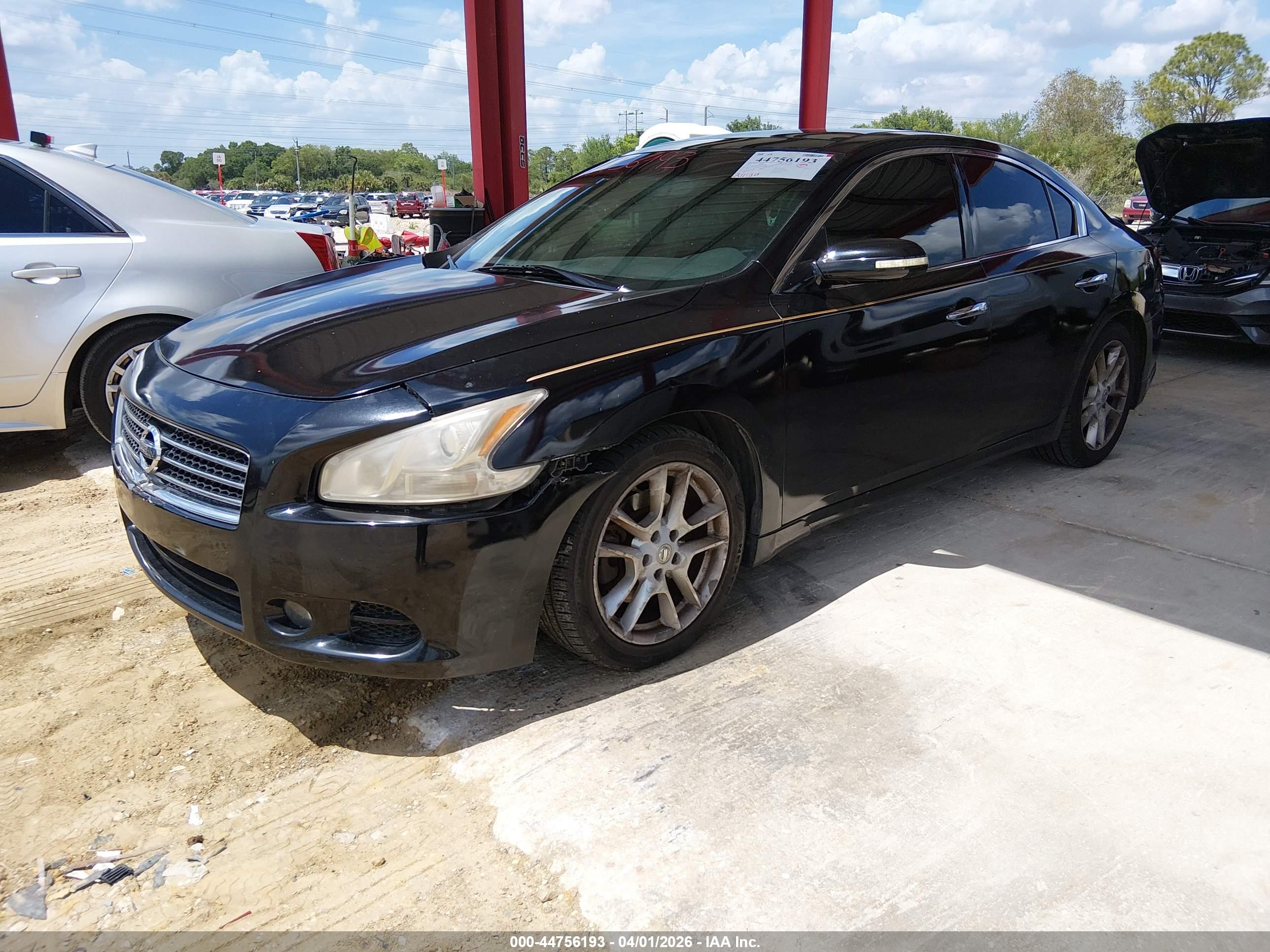 NISSAN MAXIMA image 2