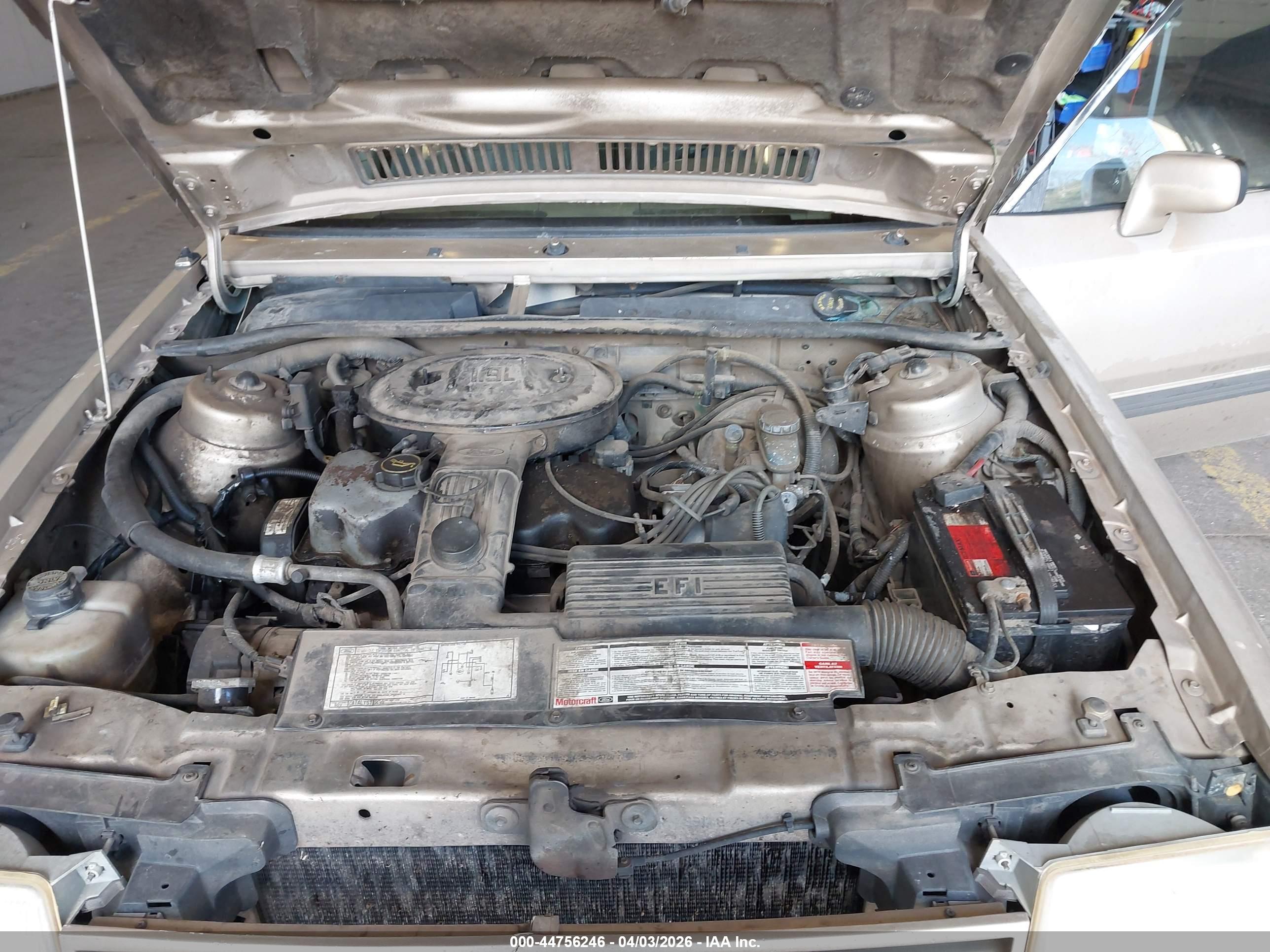 FORD ESCORT image 10