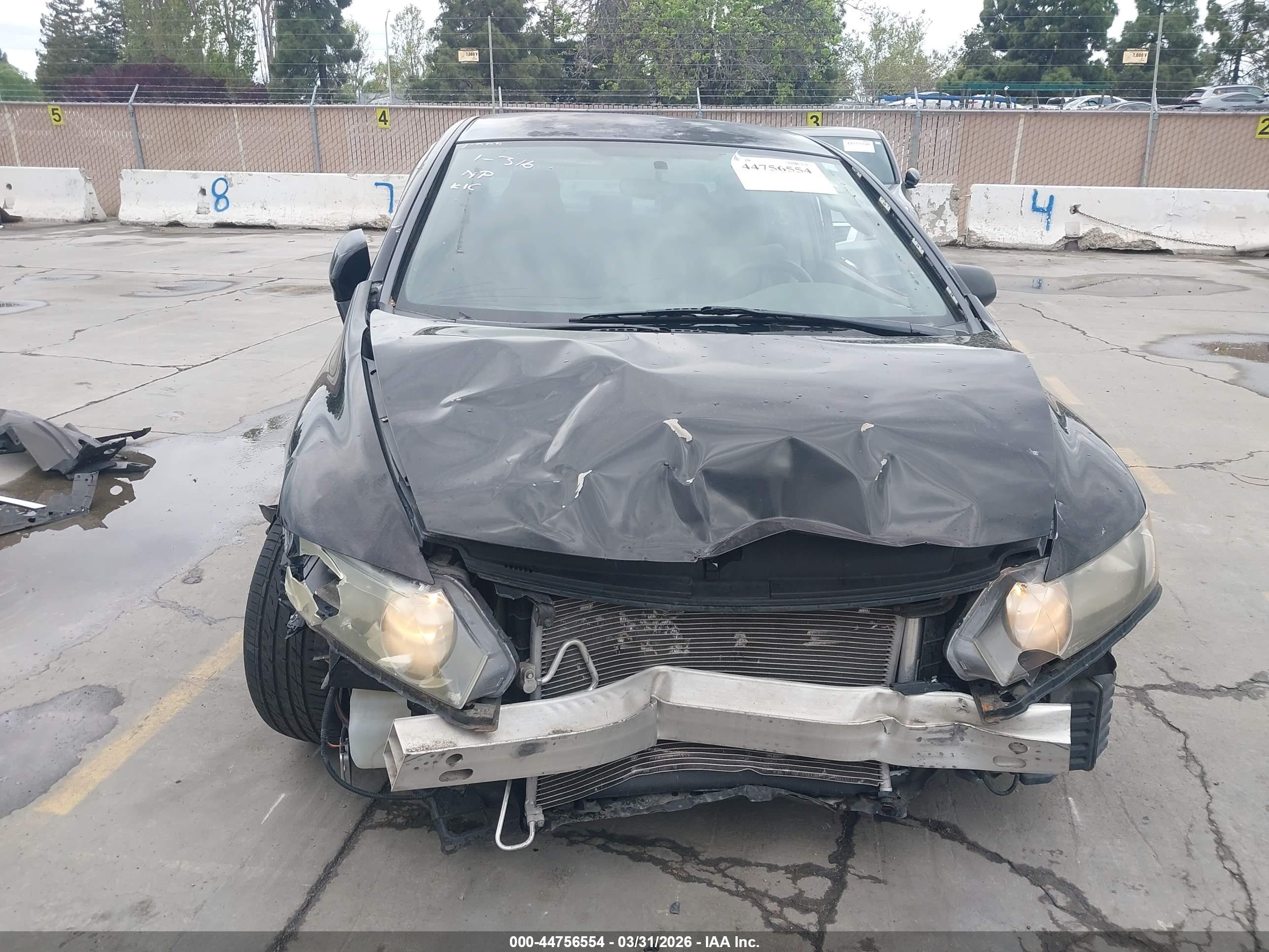 HONDA CIVIC image 6