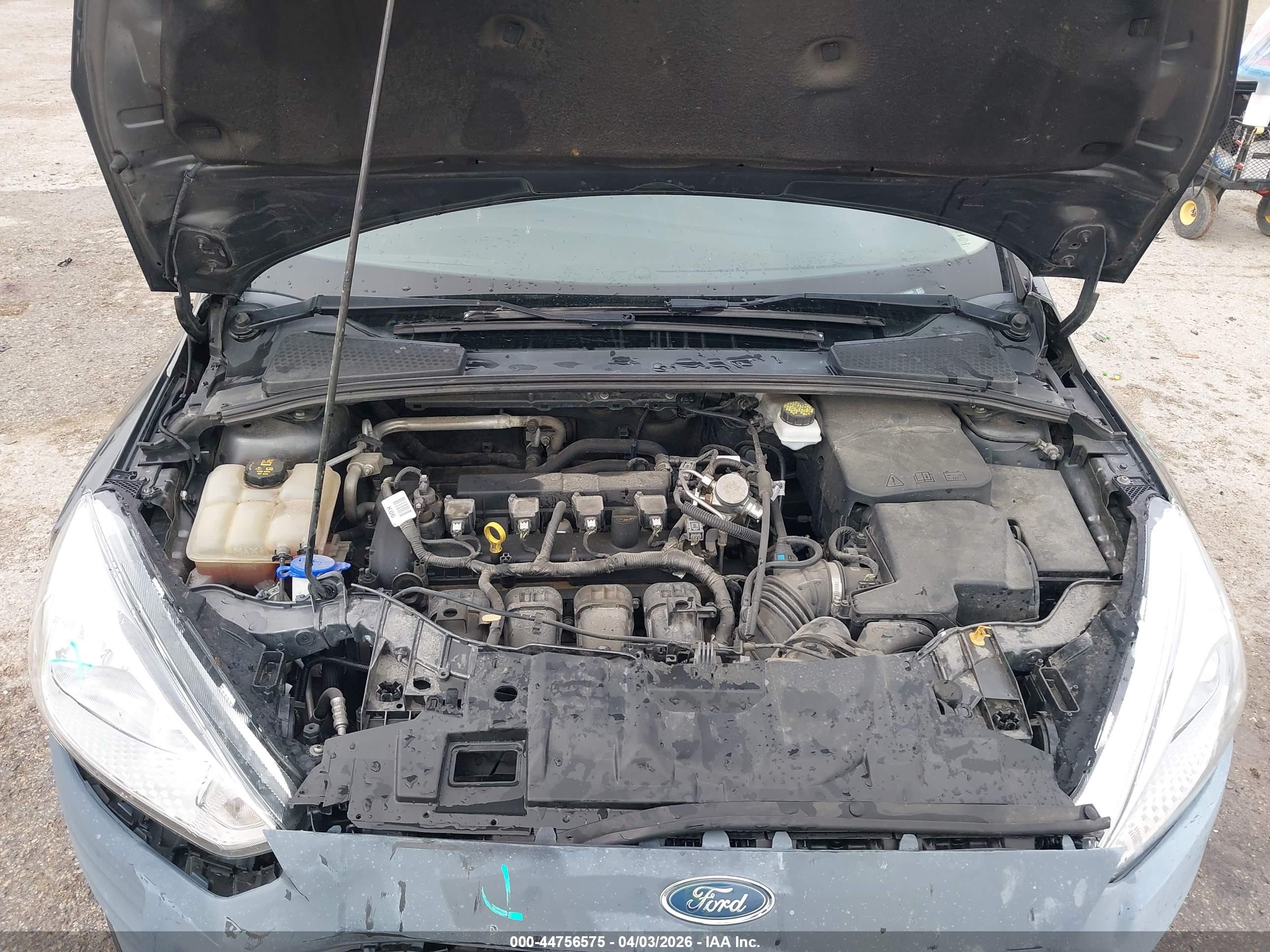 FORD FOCUS image 10