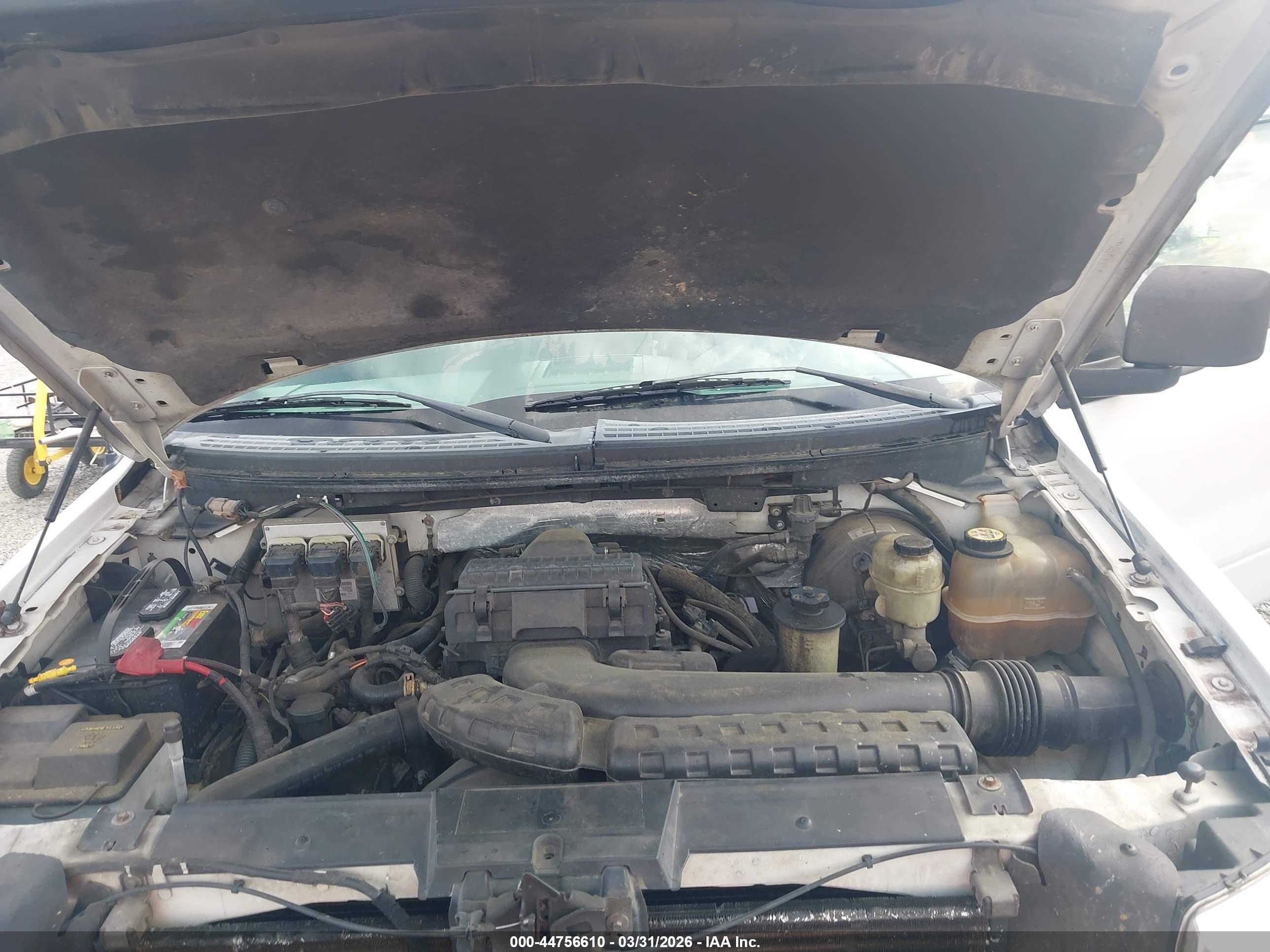 FORD F-150 image 10