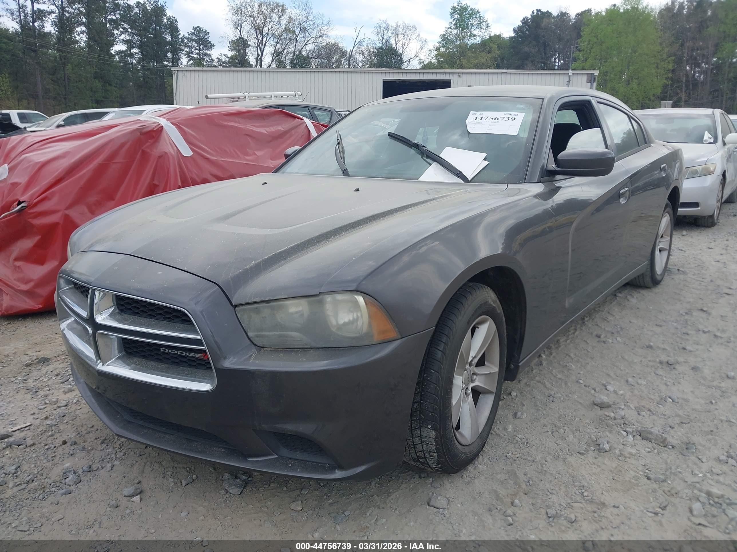 DODGE CHARGER image 2