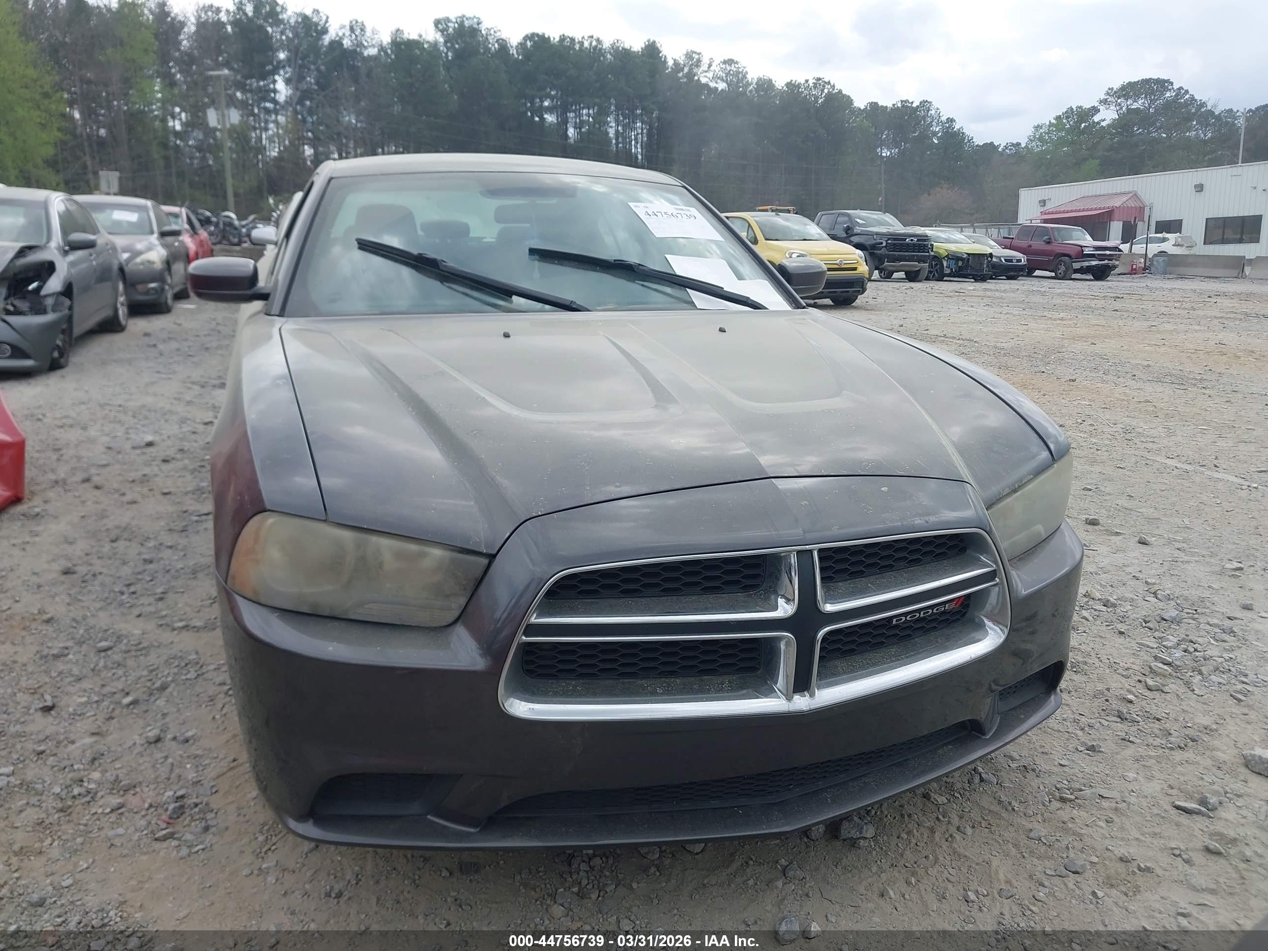 DODGE CHARGER image 6