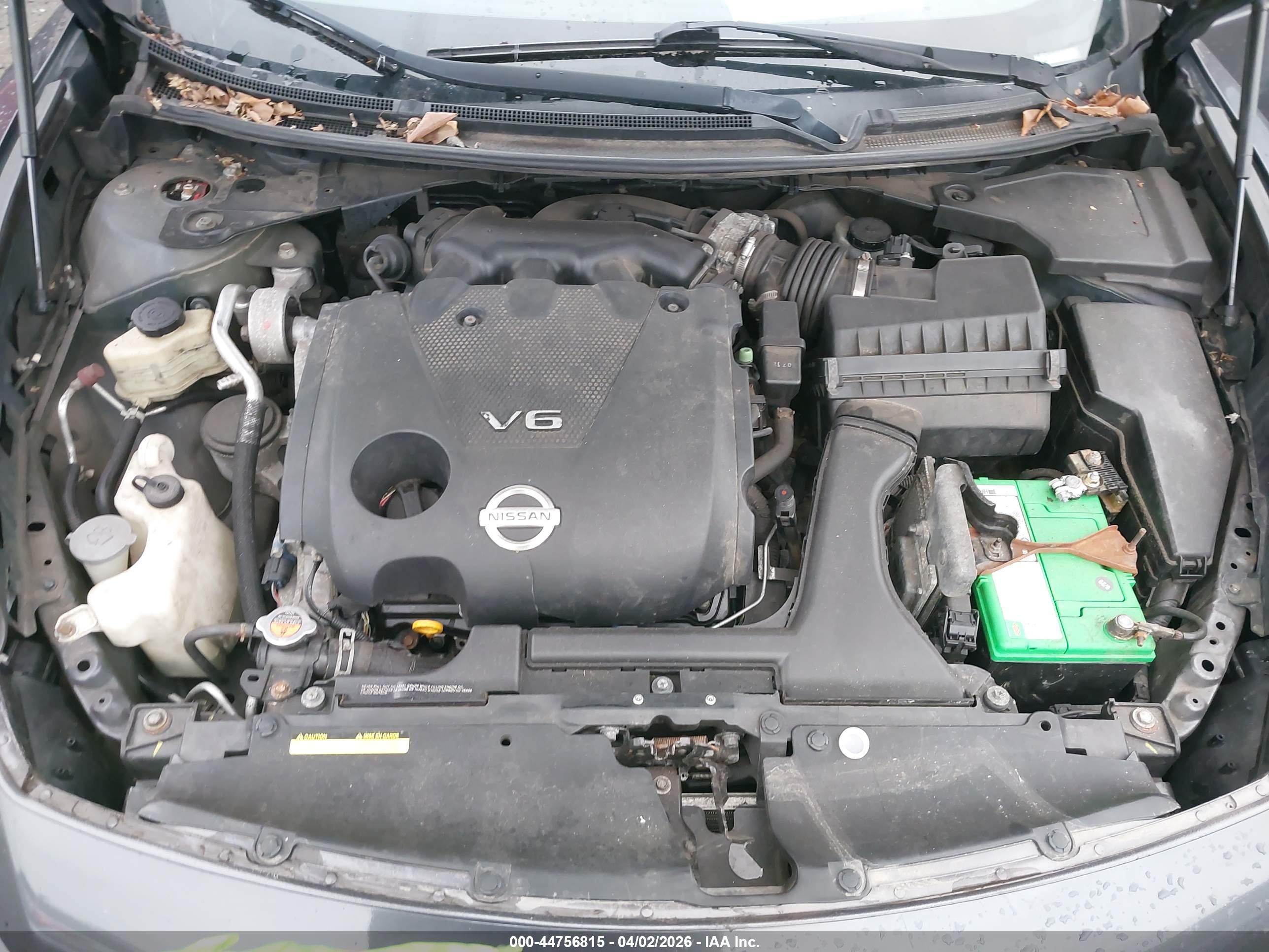 NISSAN MAXIMA image 10