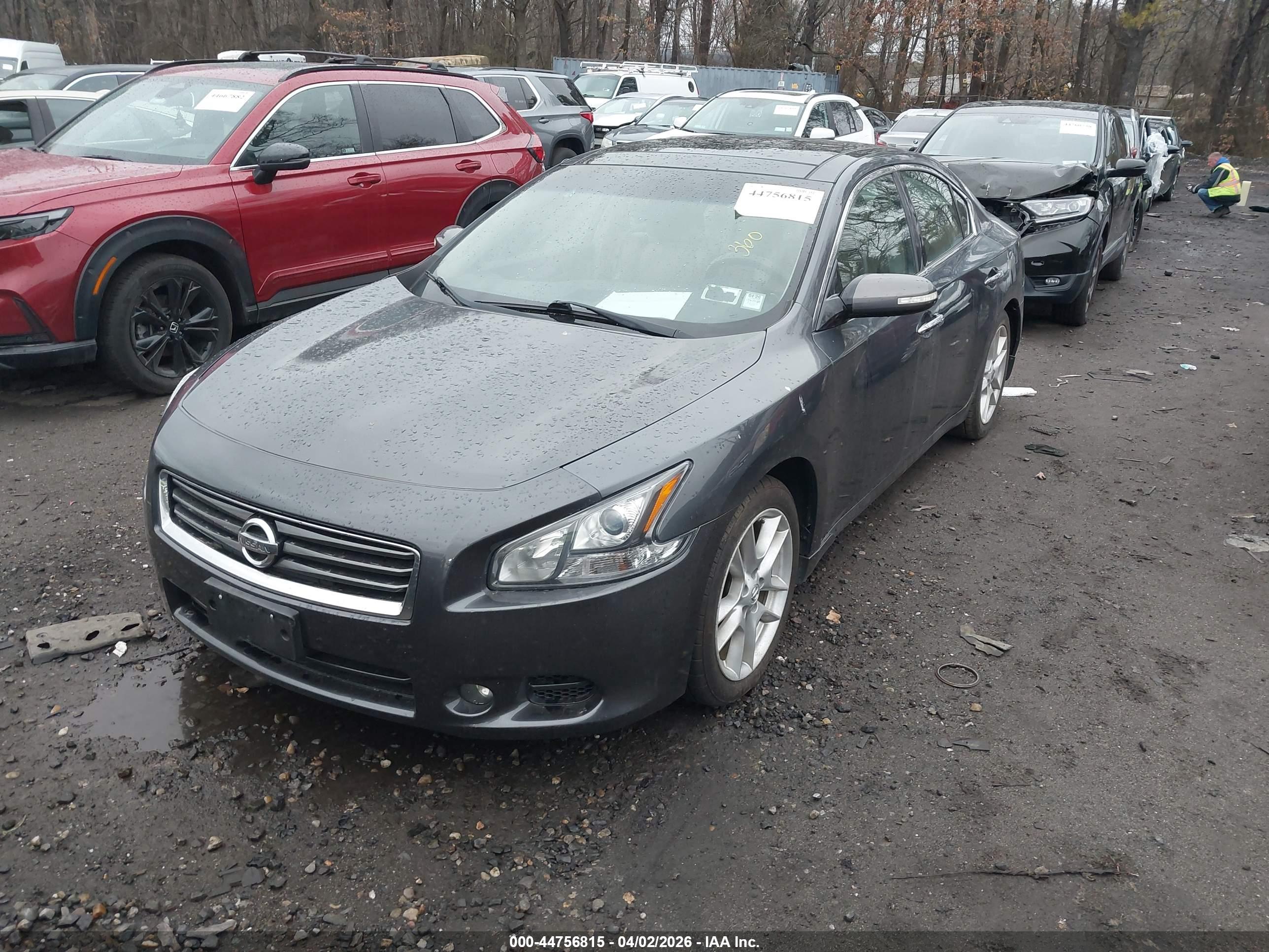NISSAN MAXIMA image 2