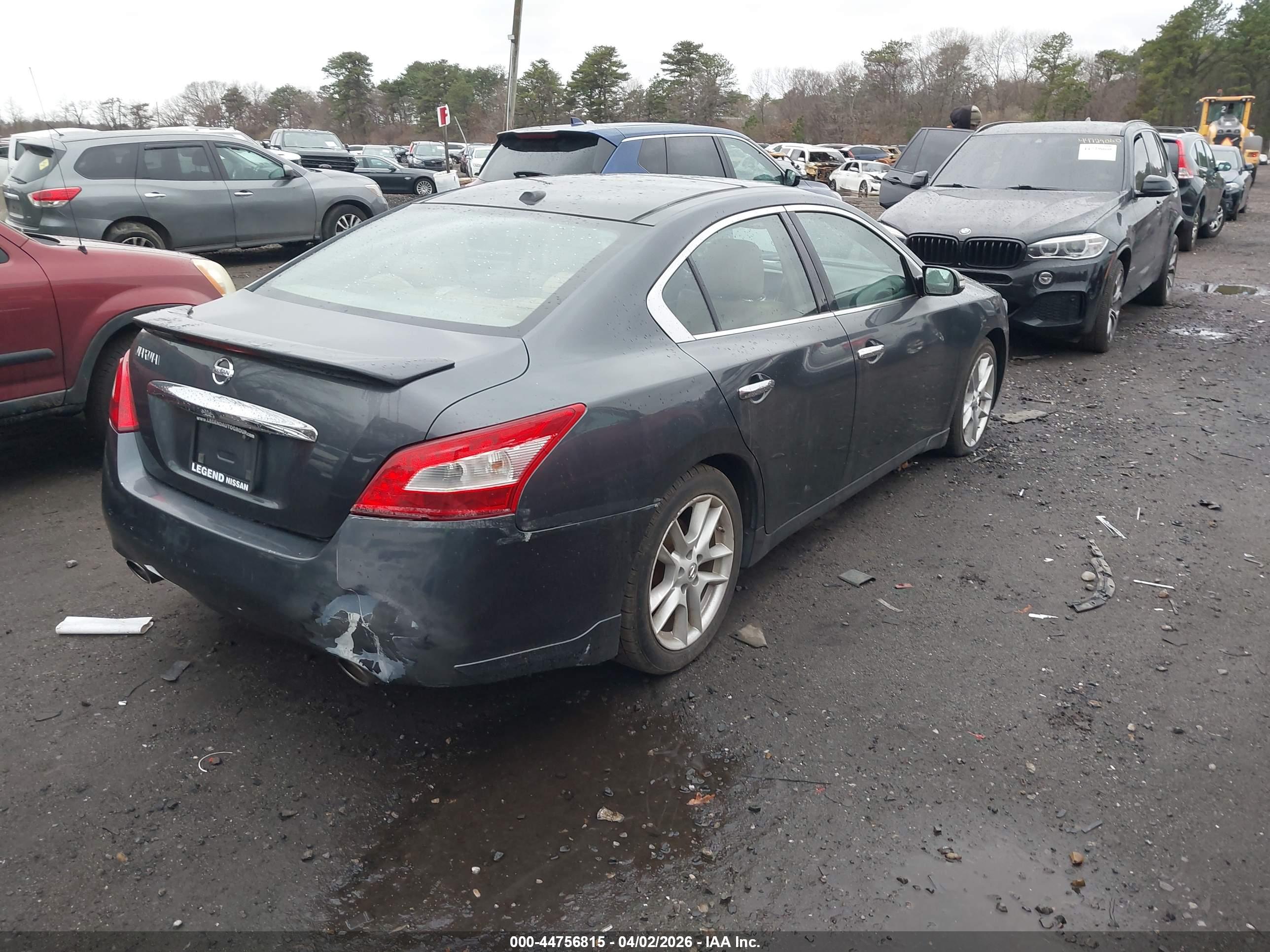 NISSAN MAXIMA image 4
