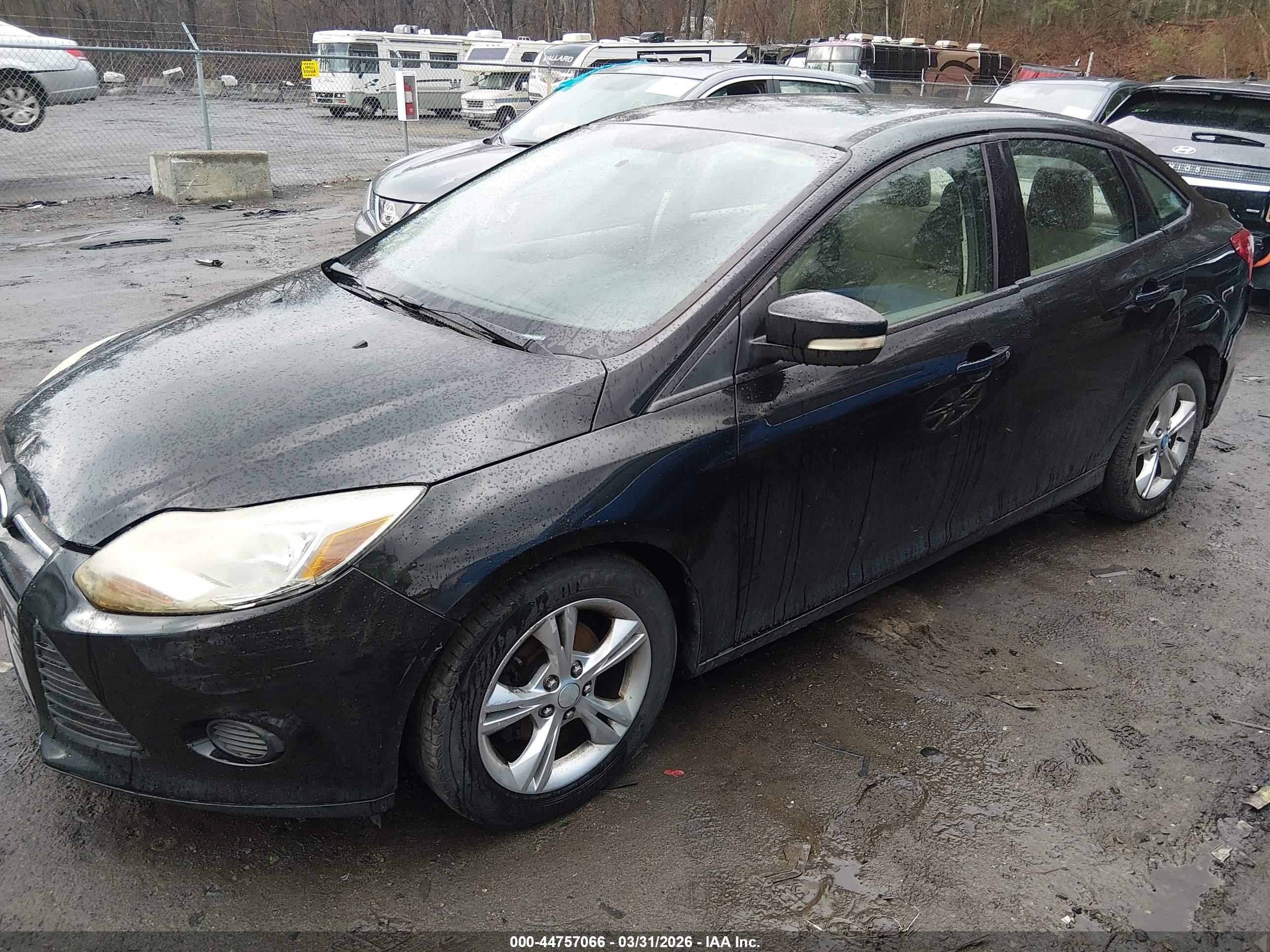 FORD FOCUS image 2