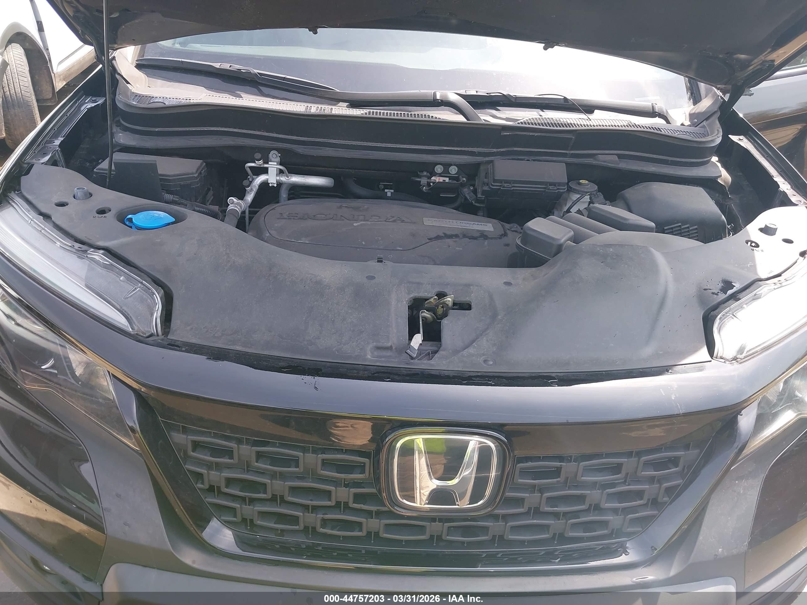 HONDA PASSPORT image 10