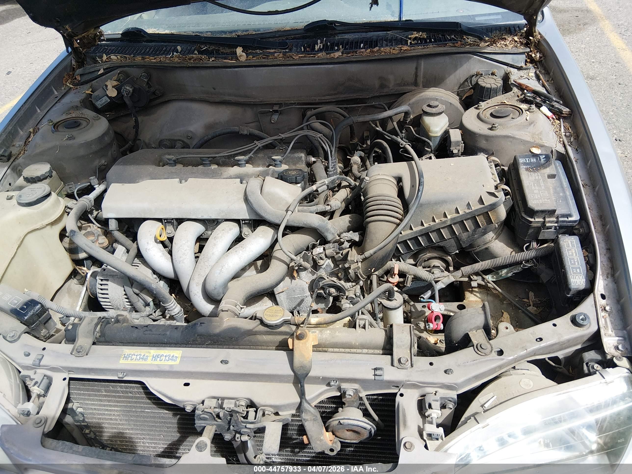 TOYOTA COROLLA image 6