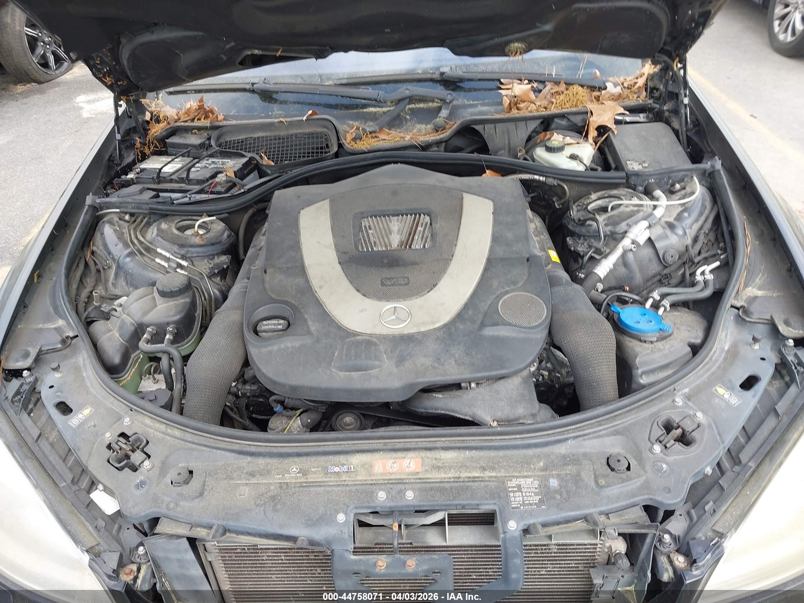 MERCEDES-BENZ S image 10