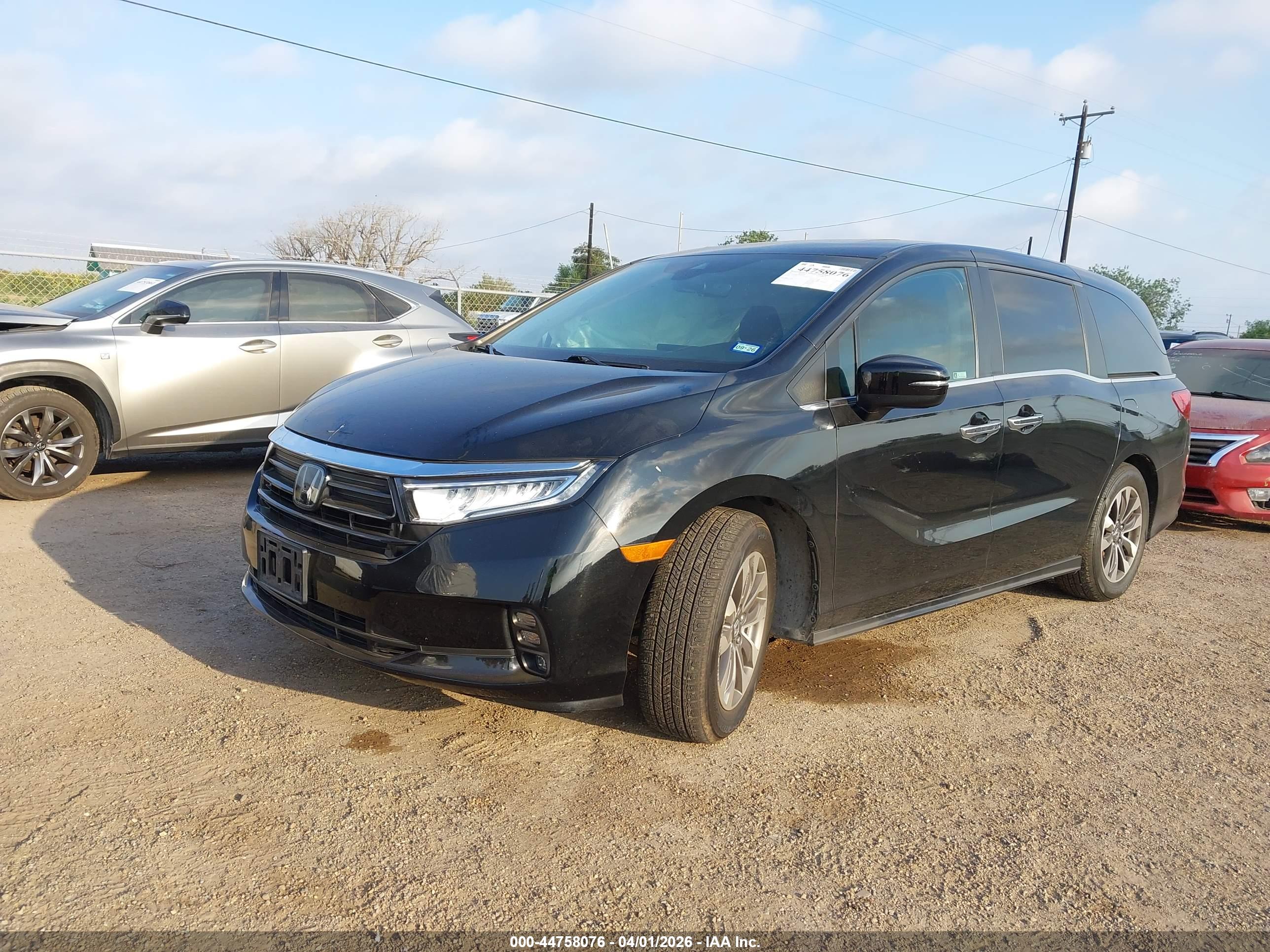 HONDA ODYSSEY image 2