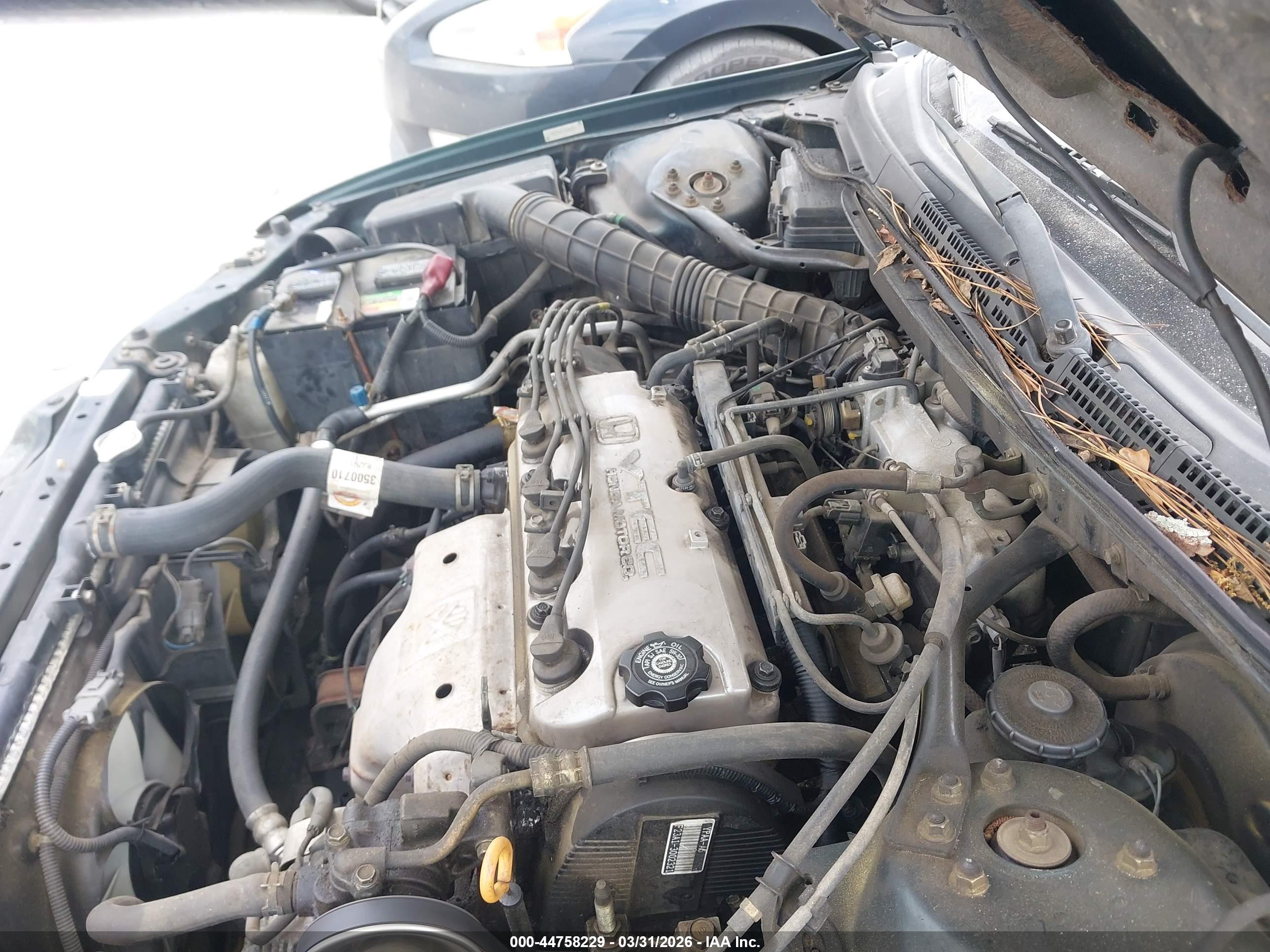 HONDA ACCORD image 10