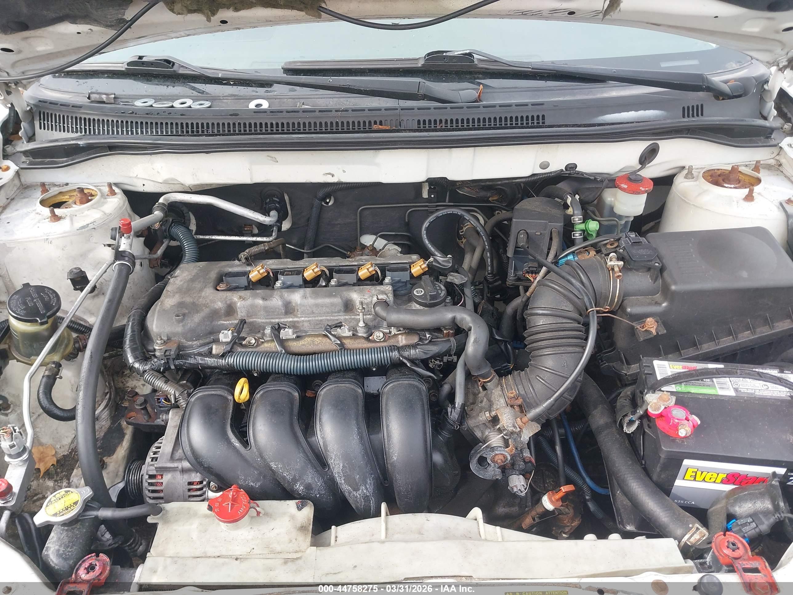 TOYOTA COROLLA image 10