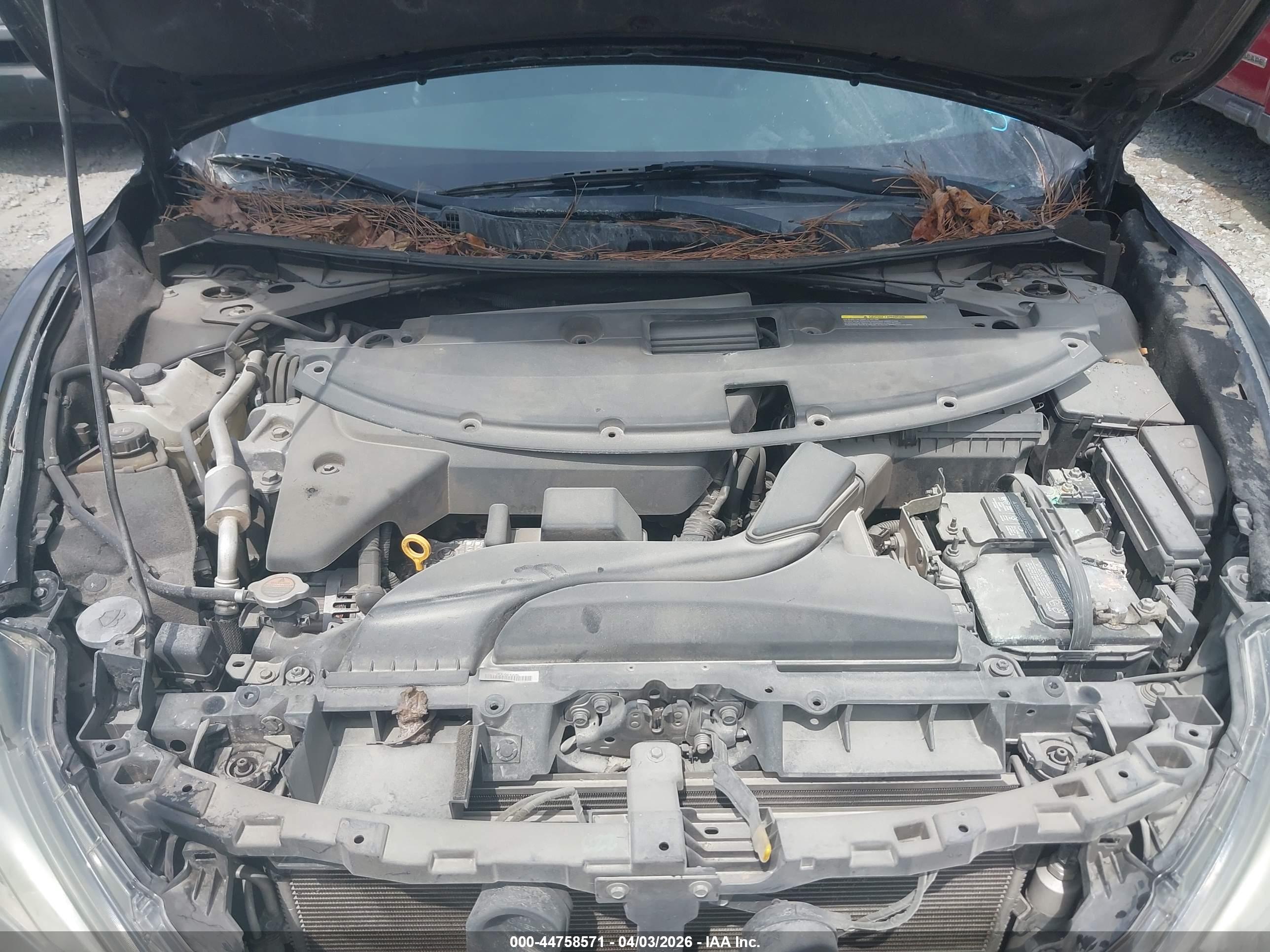 NISSAN ALTIMA image 10