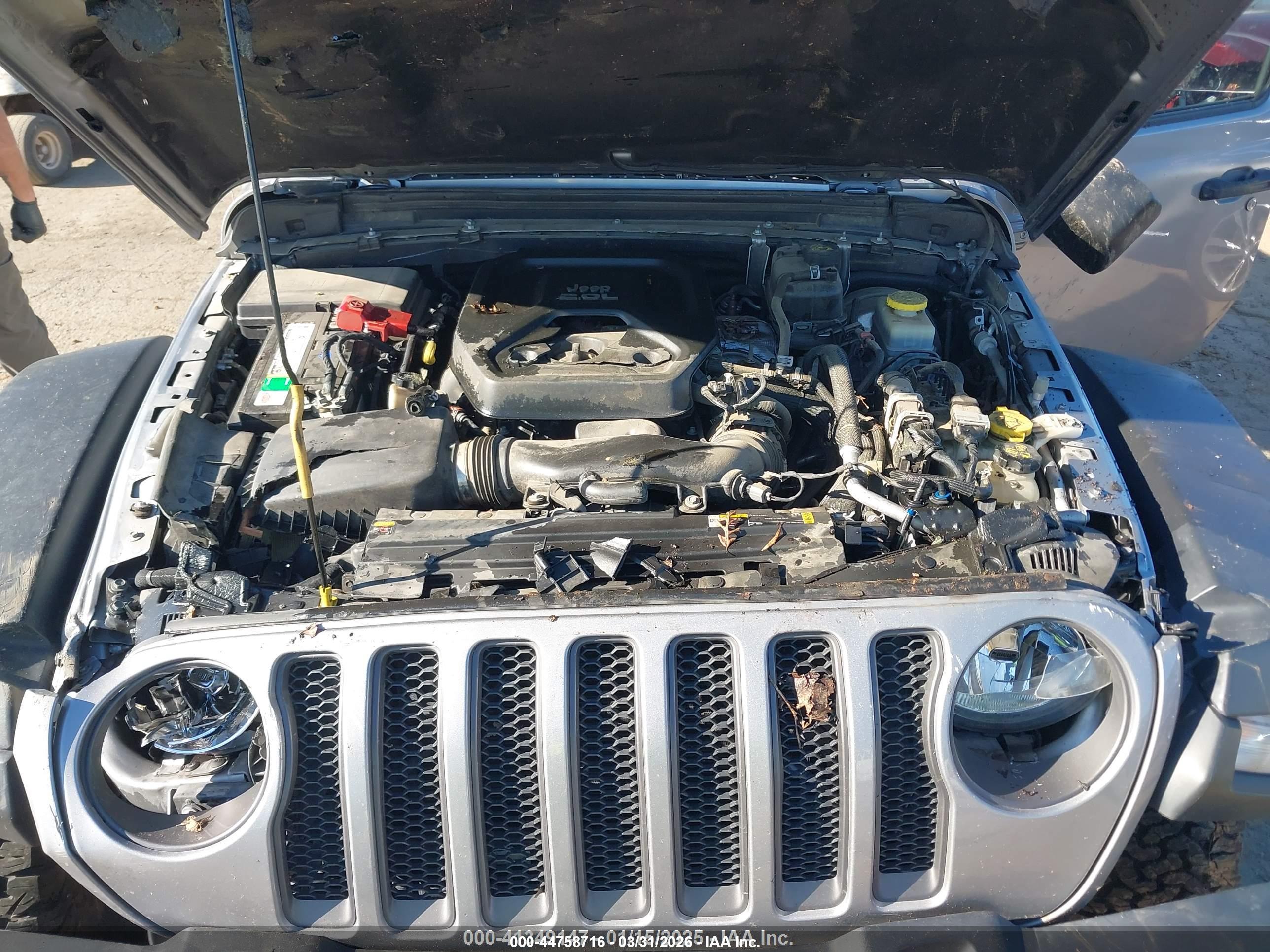 JEEP WRANGLER image 10