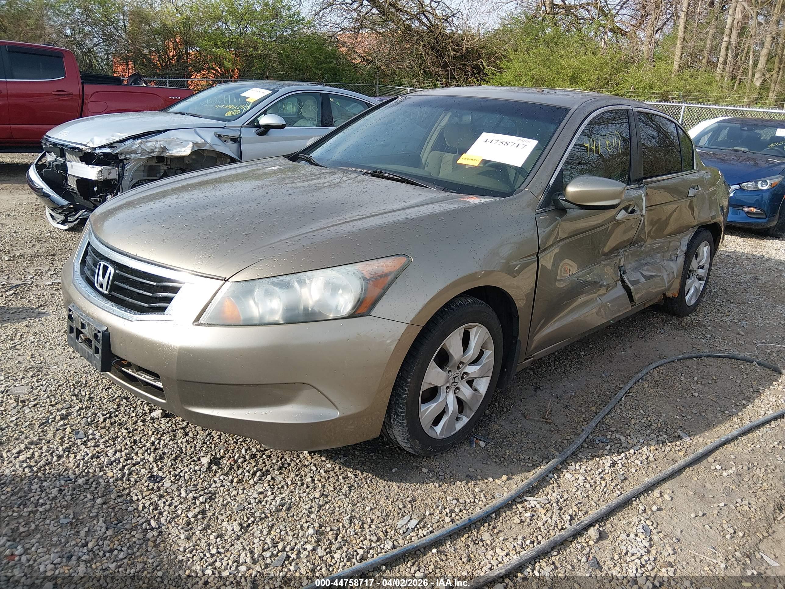 HONDA ACCORD image 2