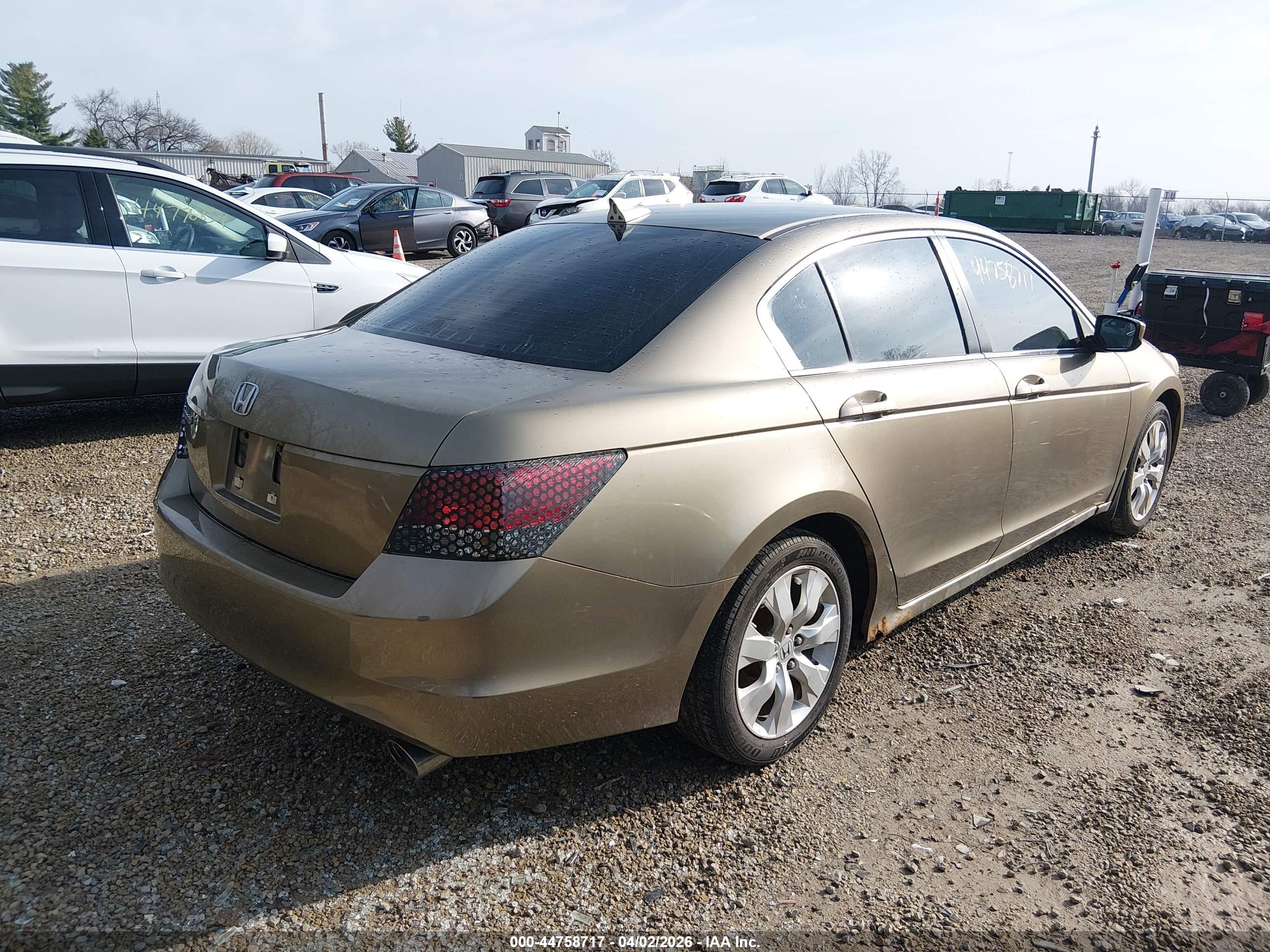 HONDA ACCORD image 4