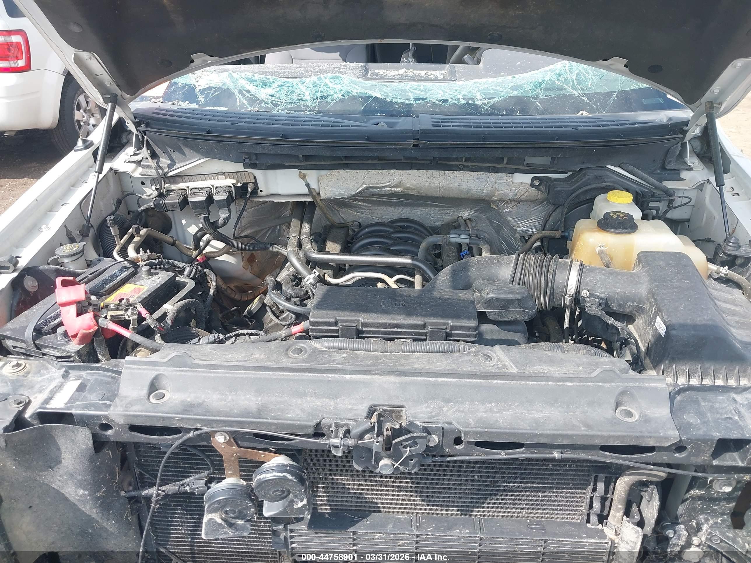 FORD F-150 image 10