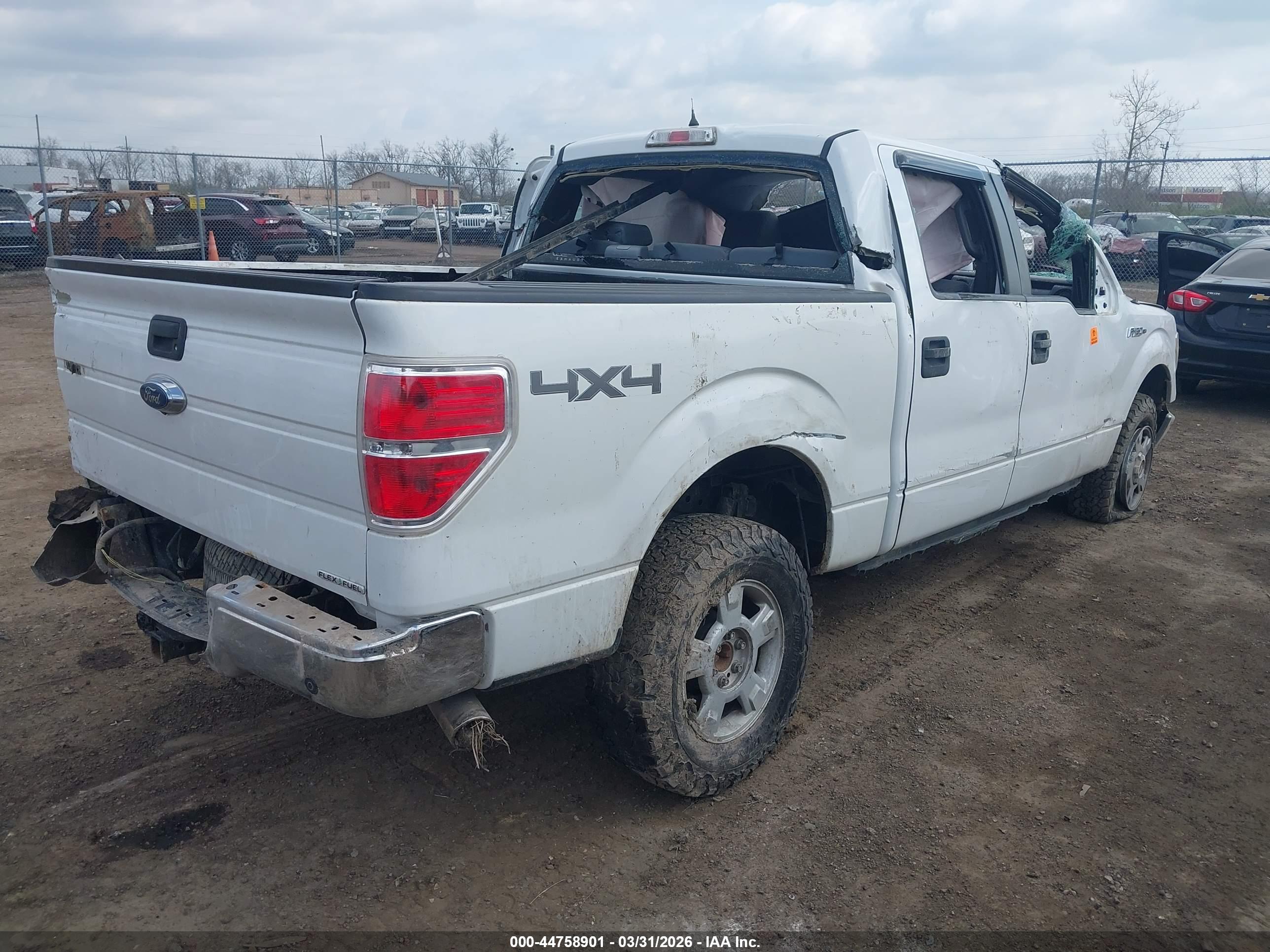 FORD F-150 image 4