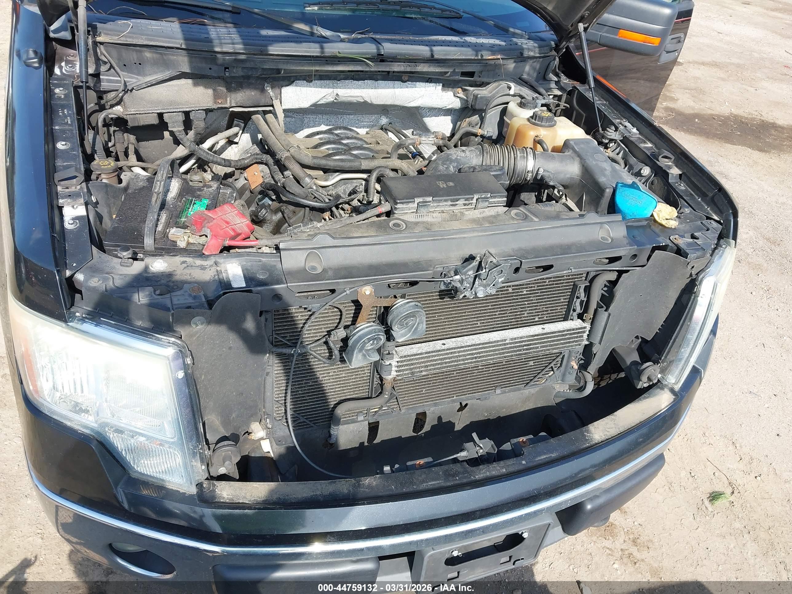 FORD F-150 image 10