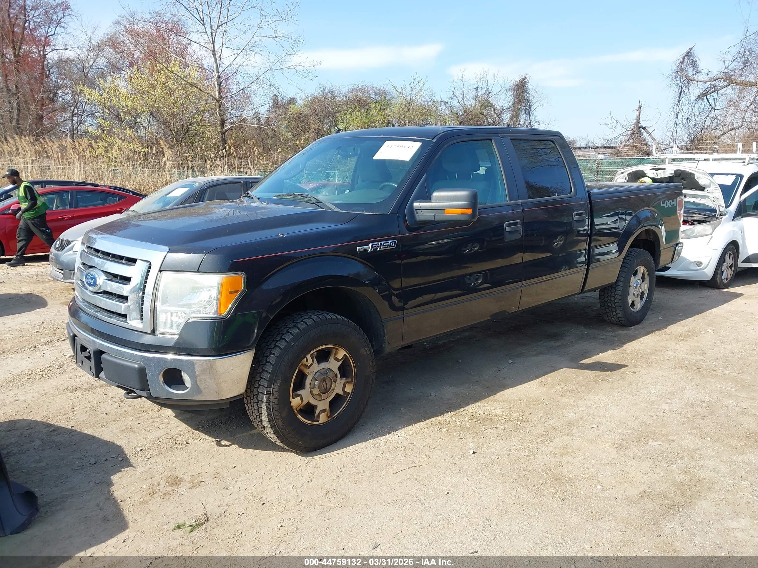 FORD F-150 image 2